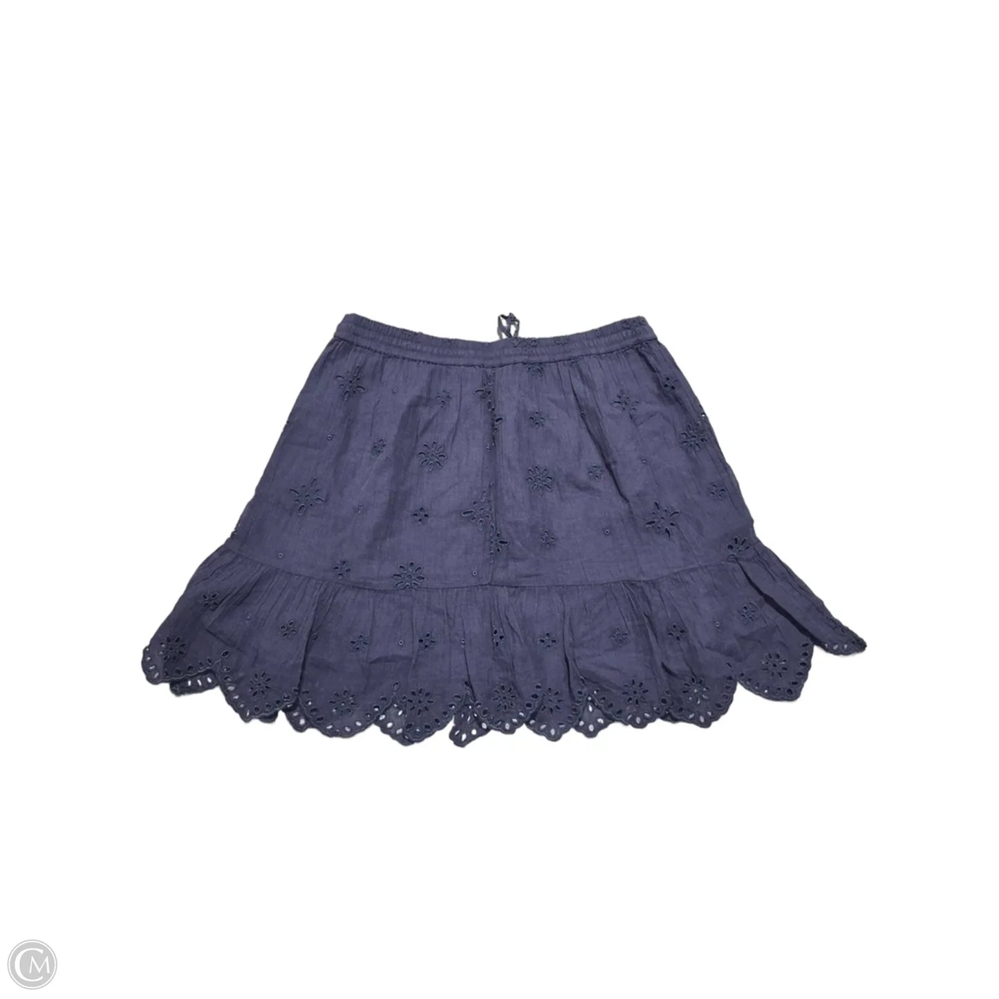 Skirt Mini & Short By Aerie In Blue, Size: 8