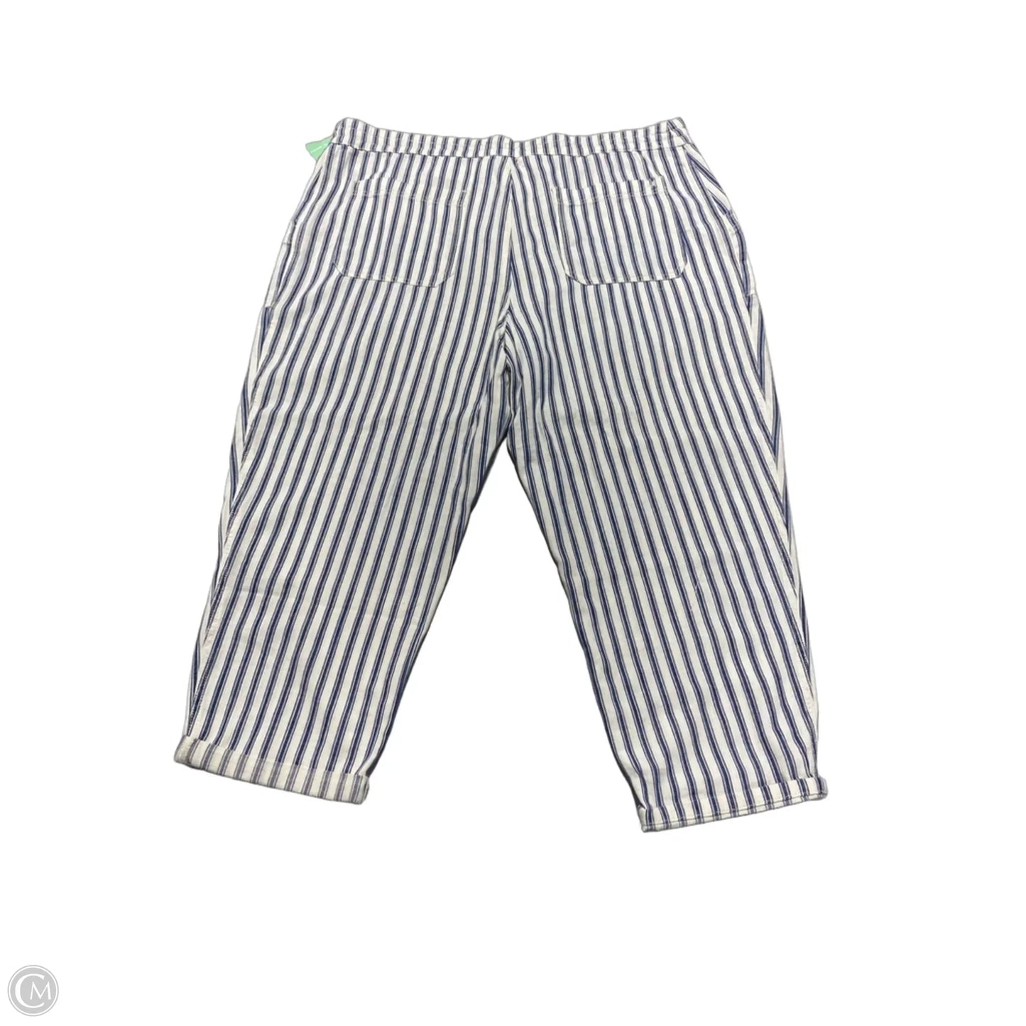 Pants Other By American Eagle In Striped Pattern, Size: 22