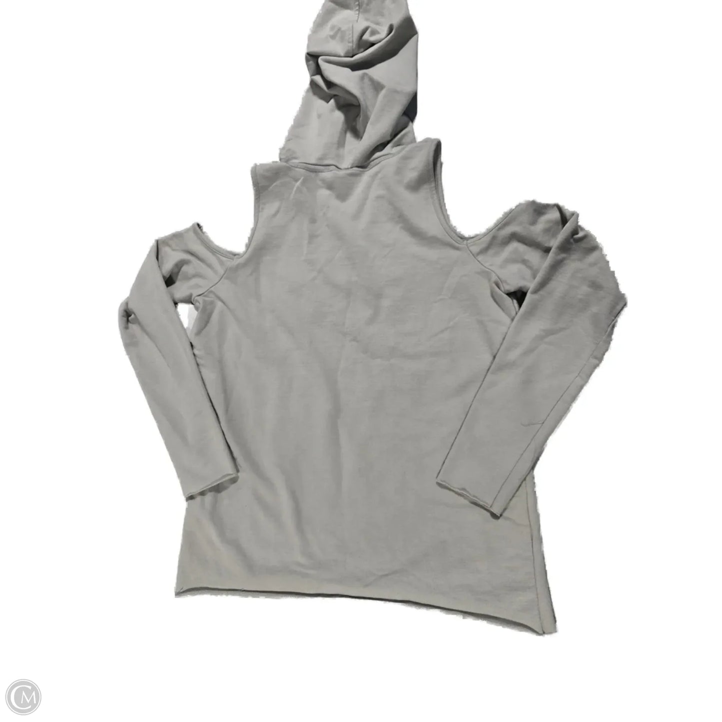 Sweatshirt Hoodie By Authentic In Grey, Size: S