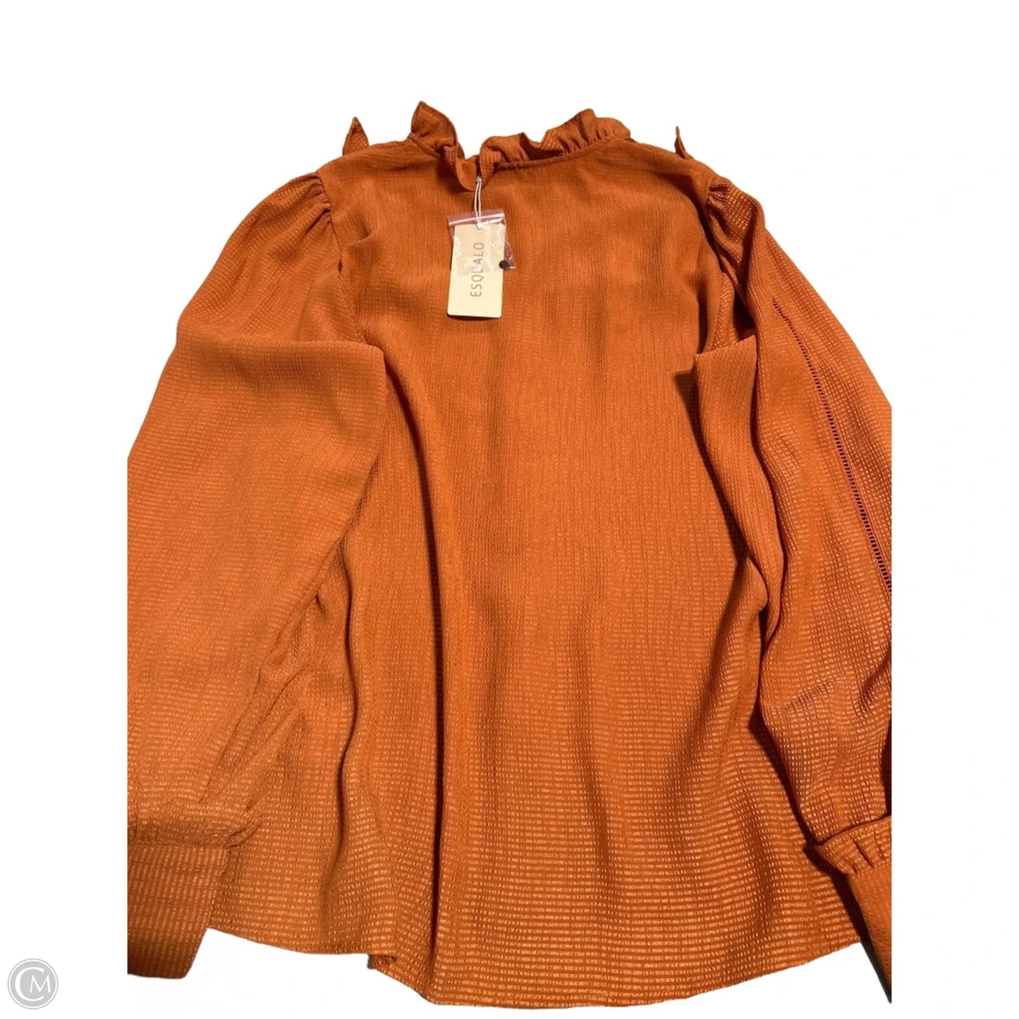Top Long Sleeve By Cmb In Orange, Size: L