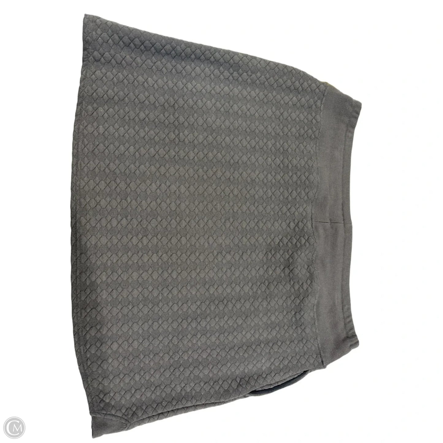 Skirt Set 2pc By Cmc In Grey, Size: Xl