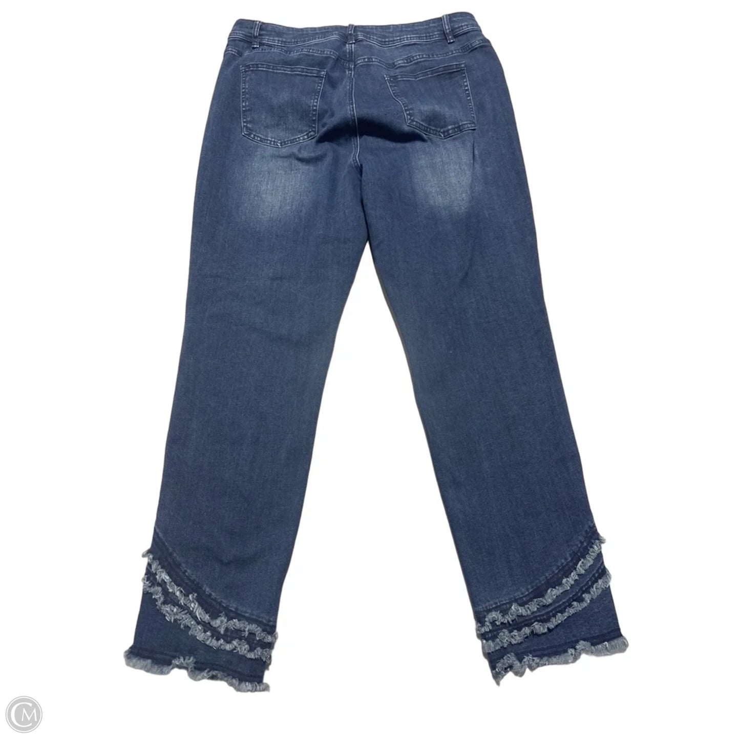 Jeans Skinny By Charlie B In Blue Denim, Size: 16