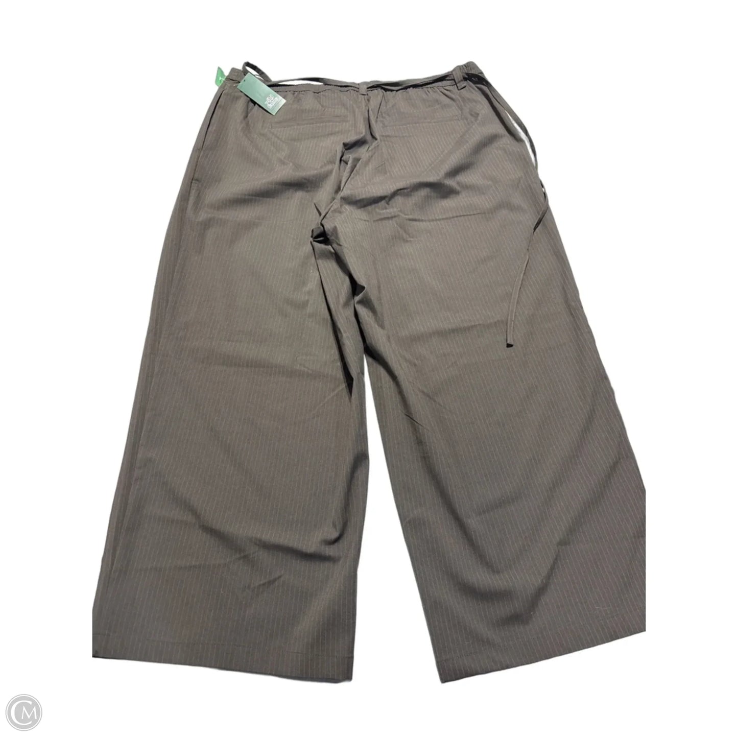 Pants Other By Wild Fable In Brown, Size: 1x