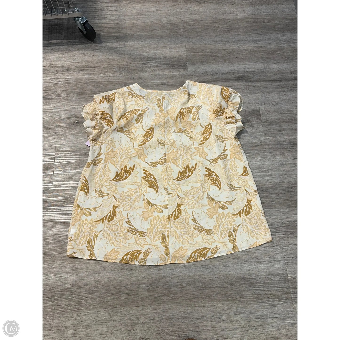 Top Short Sleeve By Lane Bryant In Tan, Size: 3x