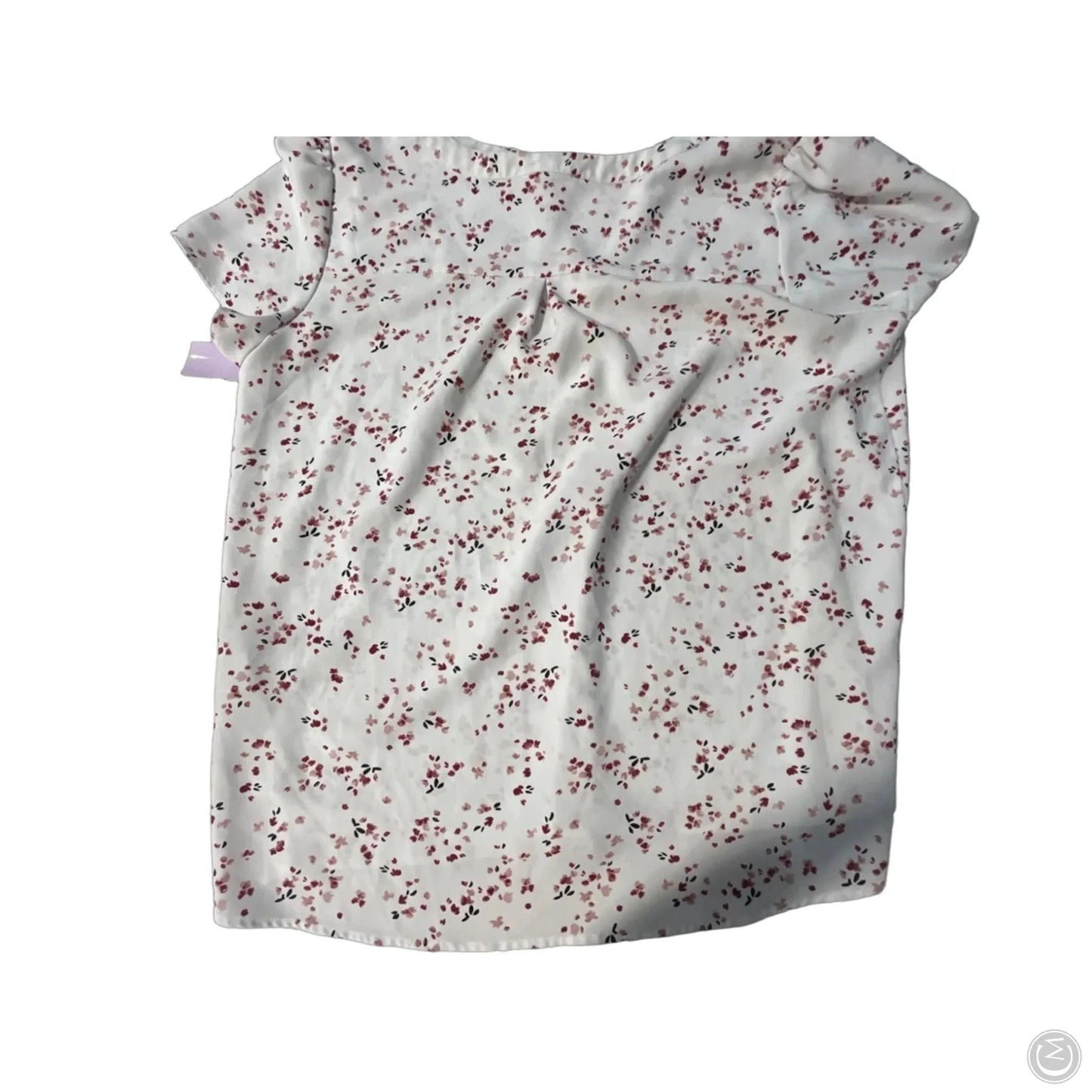 Top Short Sleeve By Hilary Radley In White, Size: L