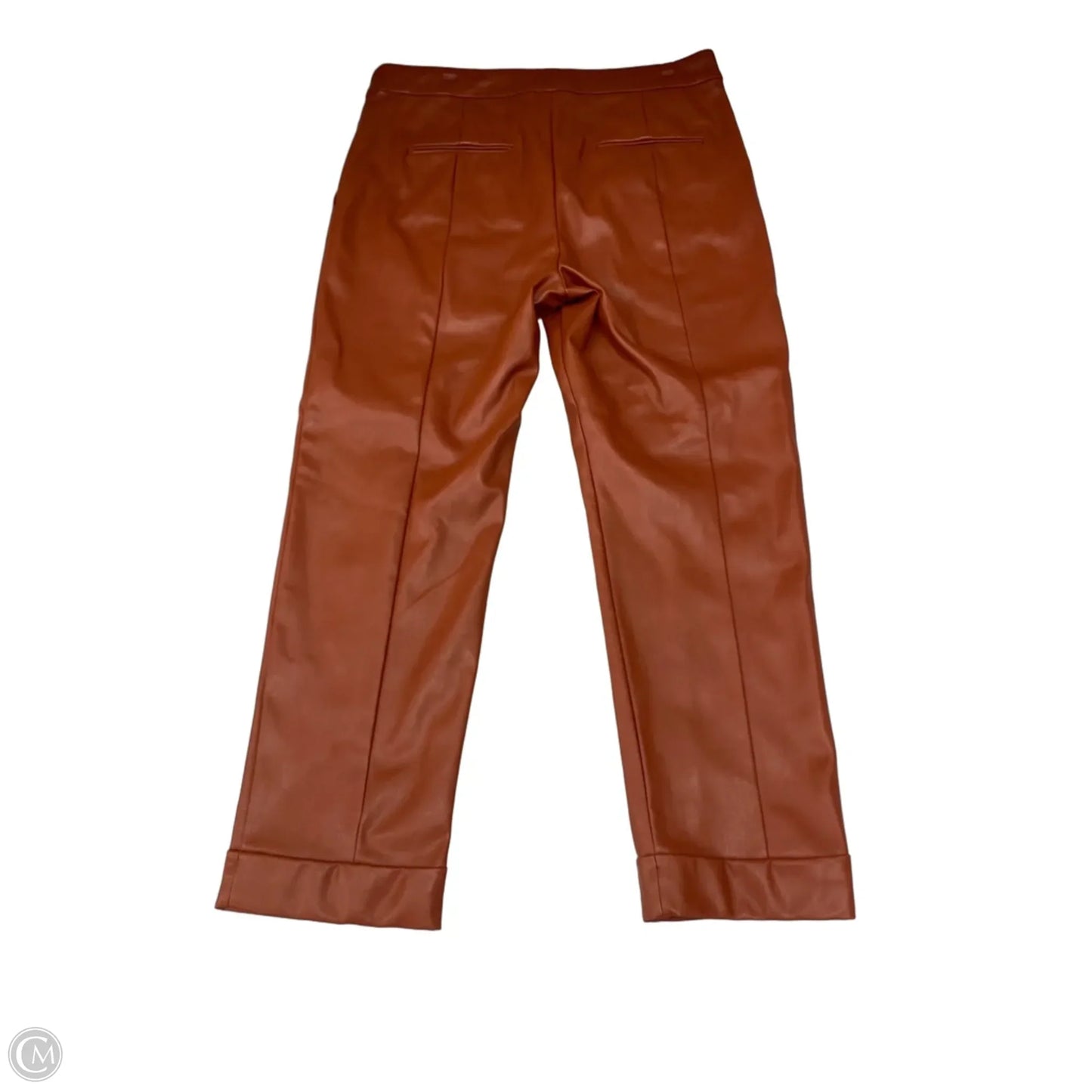 Pants Other By Ann Taylor In Brown, Size: 10