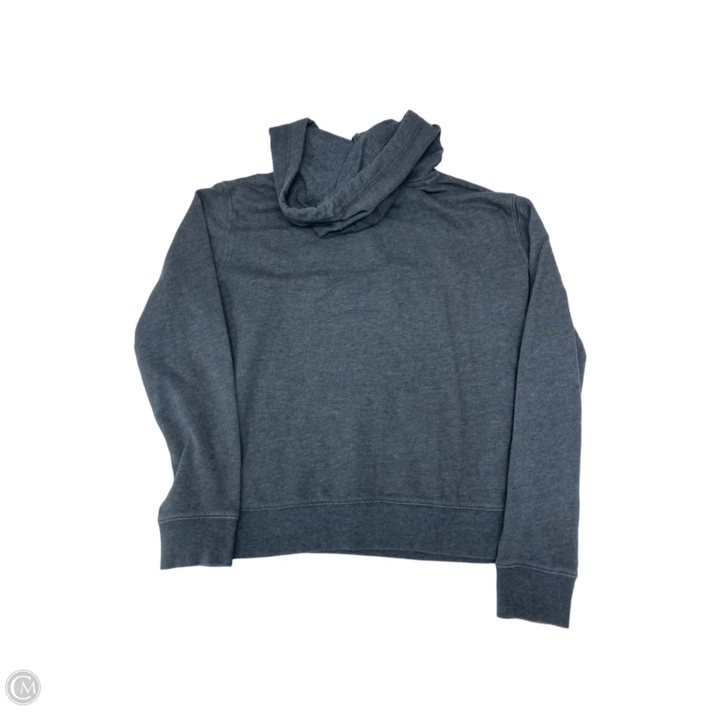 Sweatshirt Hoodie By Aeropostale In Grey, Size: M