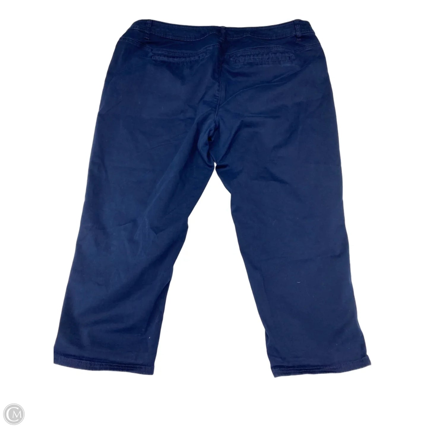 Pants Chinos & Khakis By Lane Bryant In Navy, Size: 22