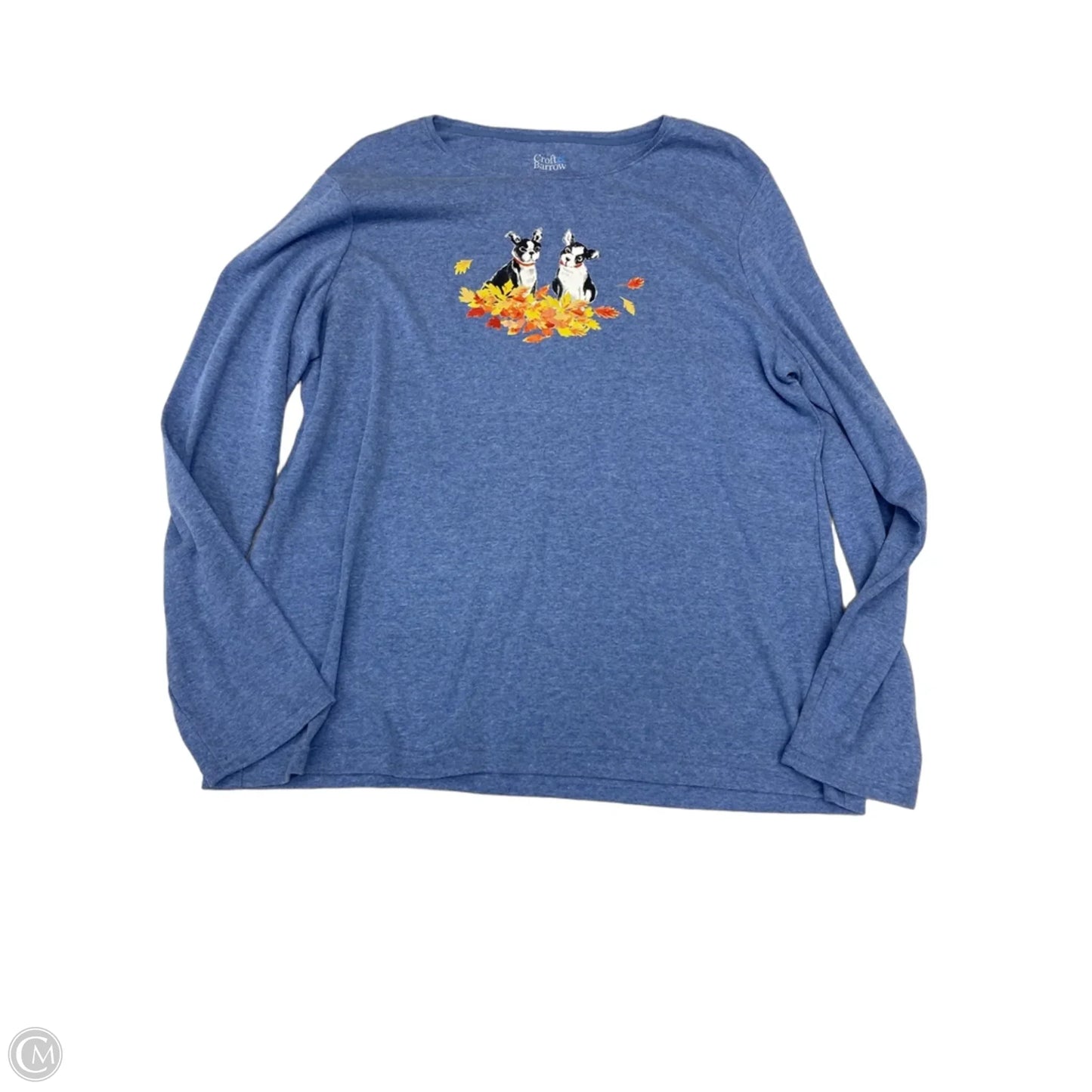 Top Long Sleeve By Croft And Barrow In Blue, Size: Xxl