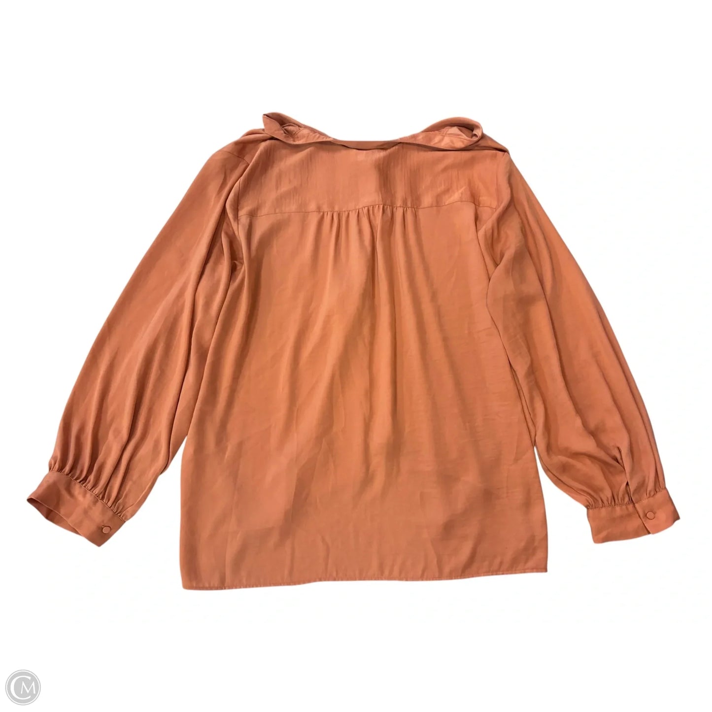 Blouse Long Sleeve By Ava & Viv In Orange, Size: 3x