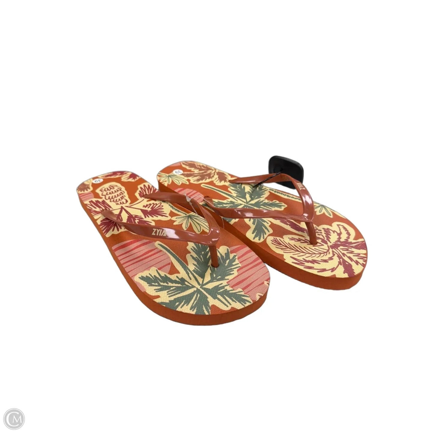 Sandals Flip Flops By Zyia In Tropical Print, Size: 9
