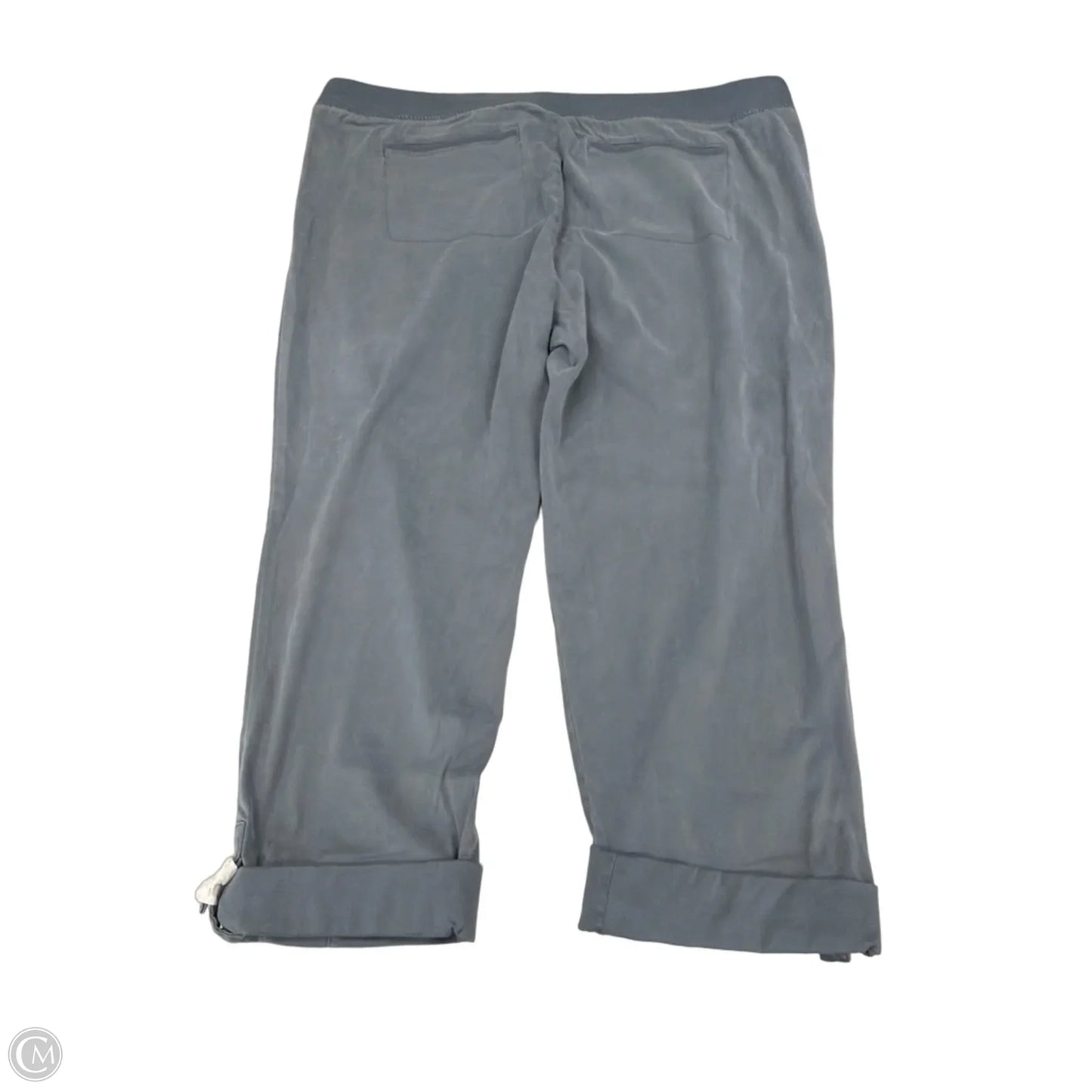 Pants Other By Soft Surroundings In Blue, Size: 3x