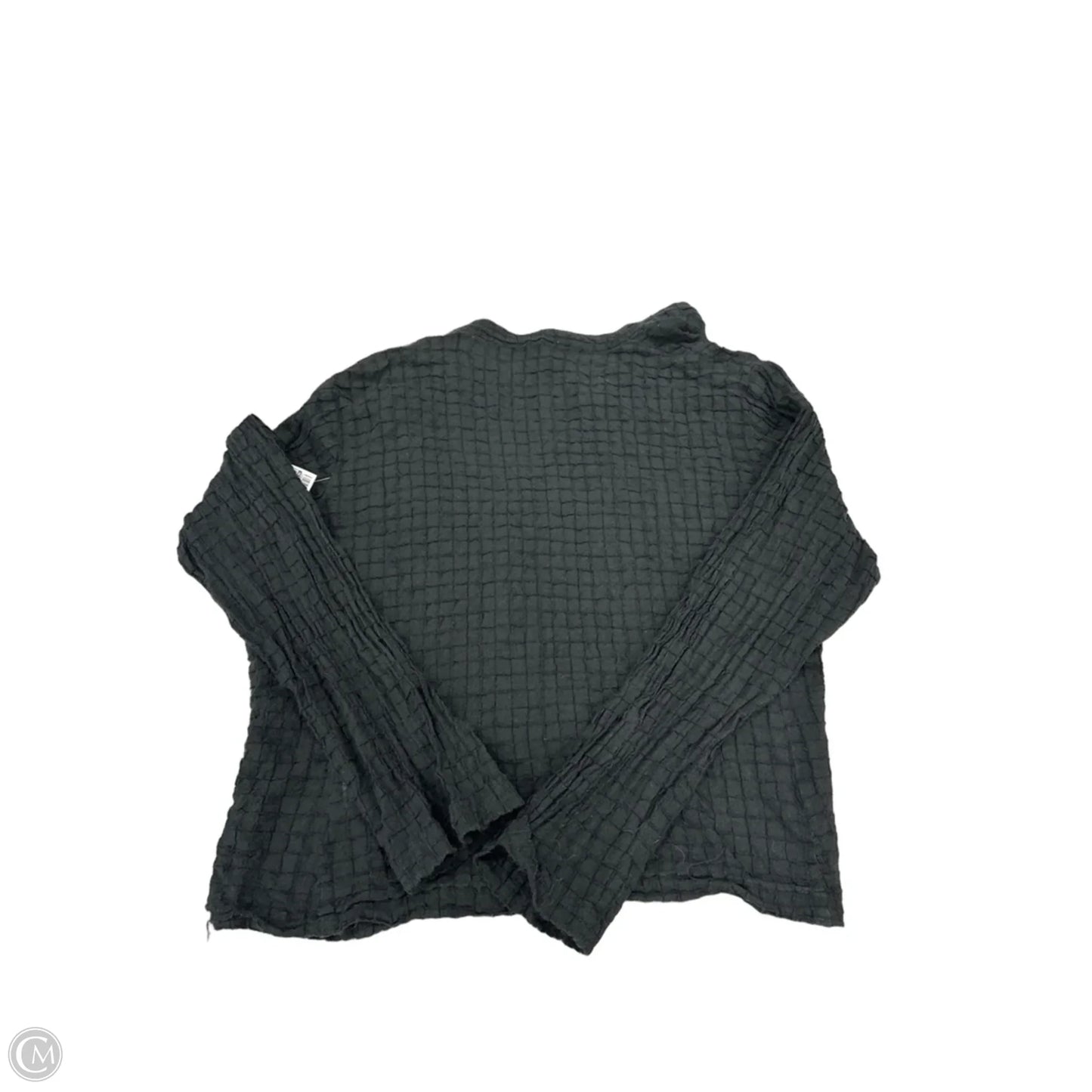 Top Long Sleeve By Eileen Fisher In Black, Size: S