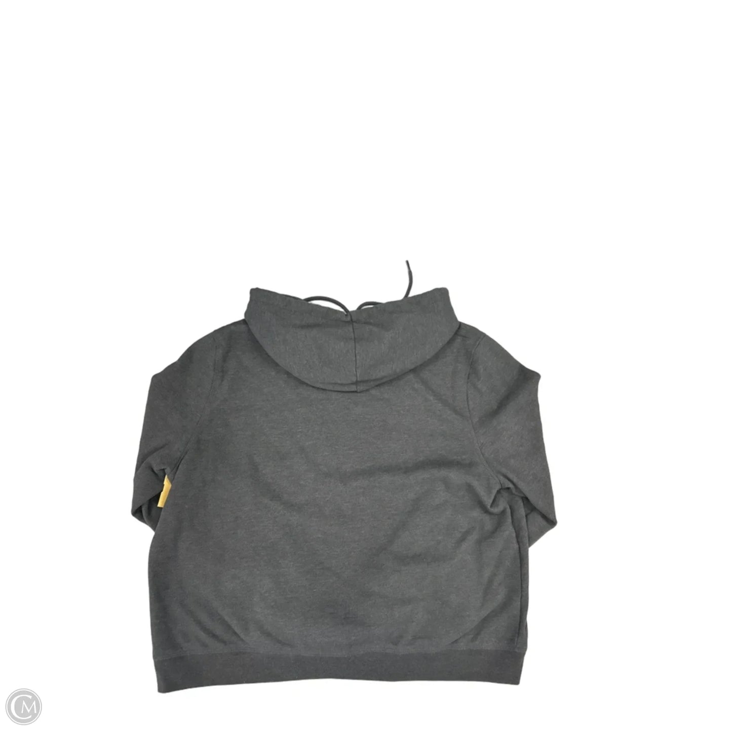 Sweatshirt Hoodie By Aeropostale In Grey, Size: Xxl