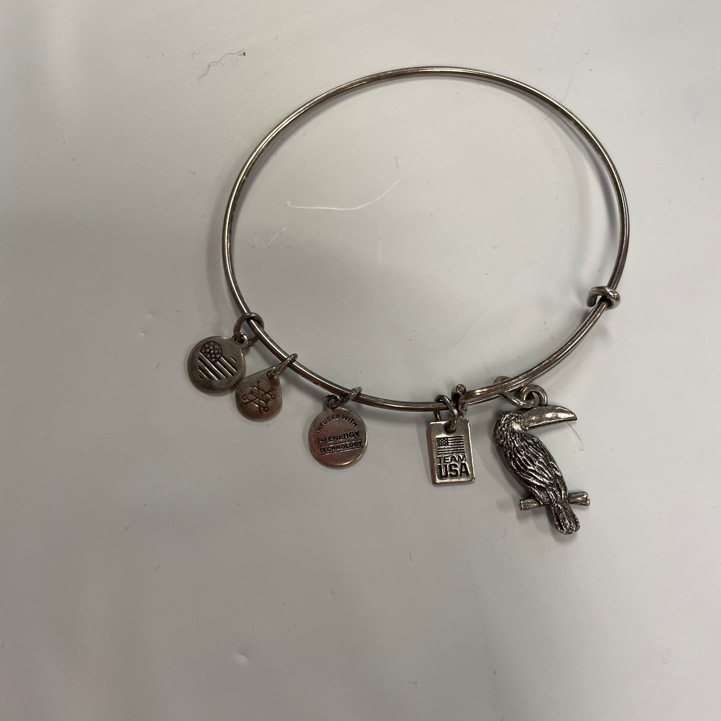 Bracelet Charm By Alex And Ani