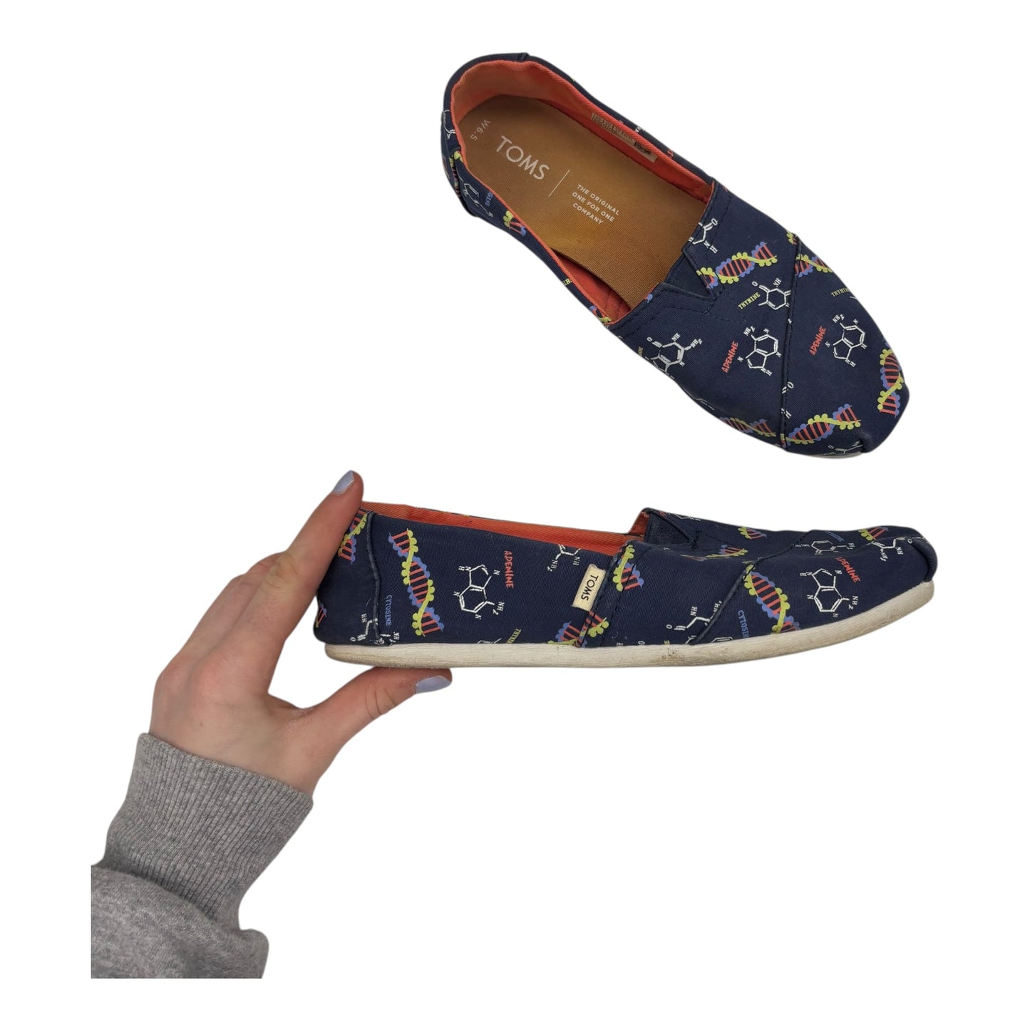 Shoes Flats By Toms In Blue, Size:6.5