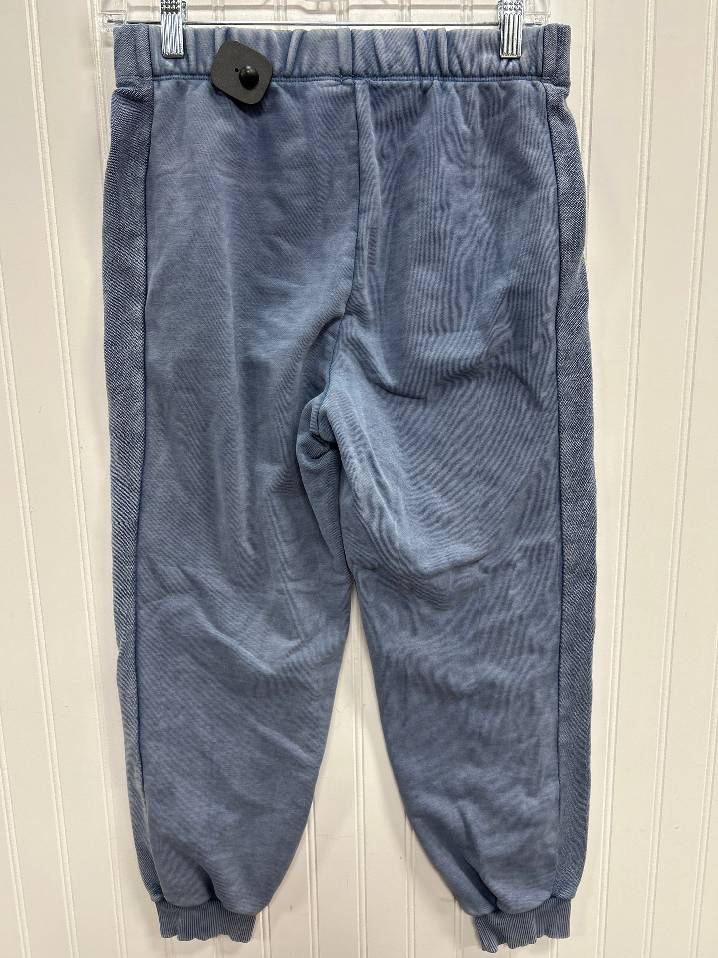 Athletic Pants By Aerie In Blue, Size:S