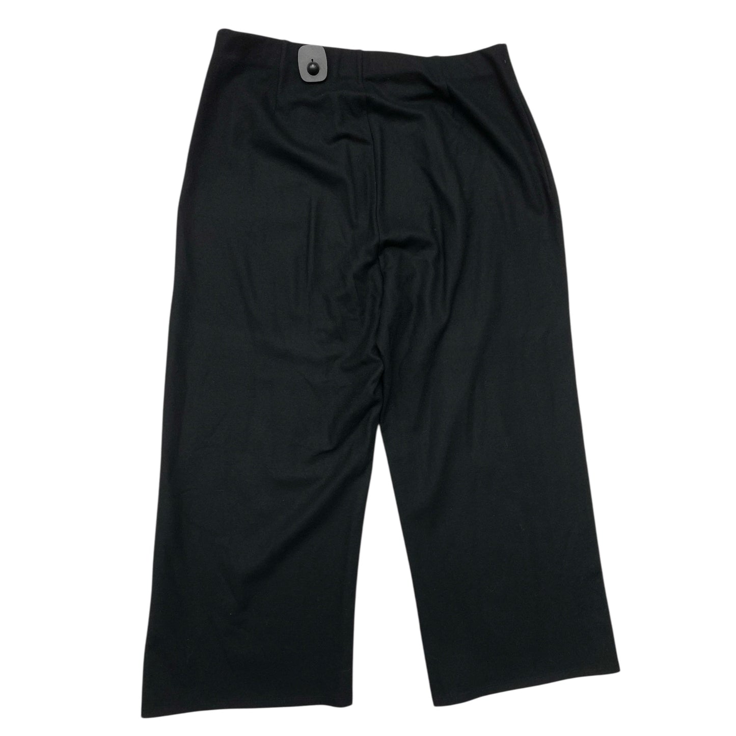 Pants Designer By Eileen Fisher In Black, Size:L