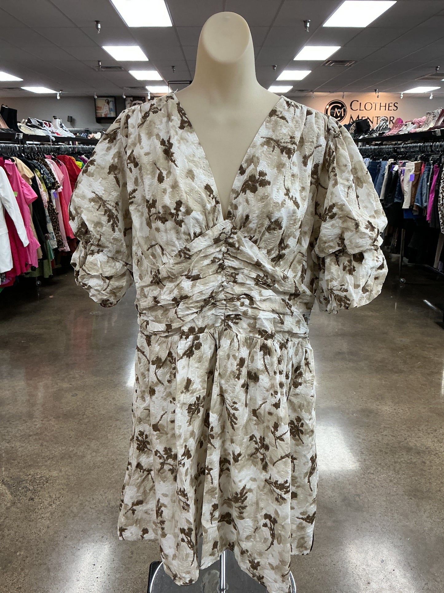 Dress Casual Short By Avara In Brown & Cream, Size:Xl