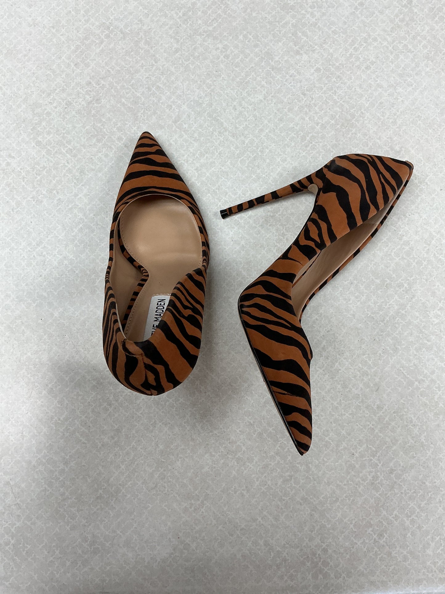 Shoes Heels Stiletto By Steve Madden In Animal Print, Size:8.5