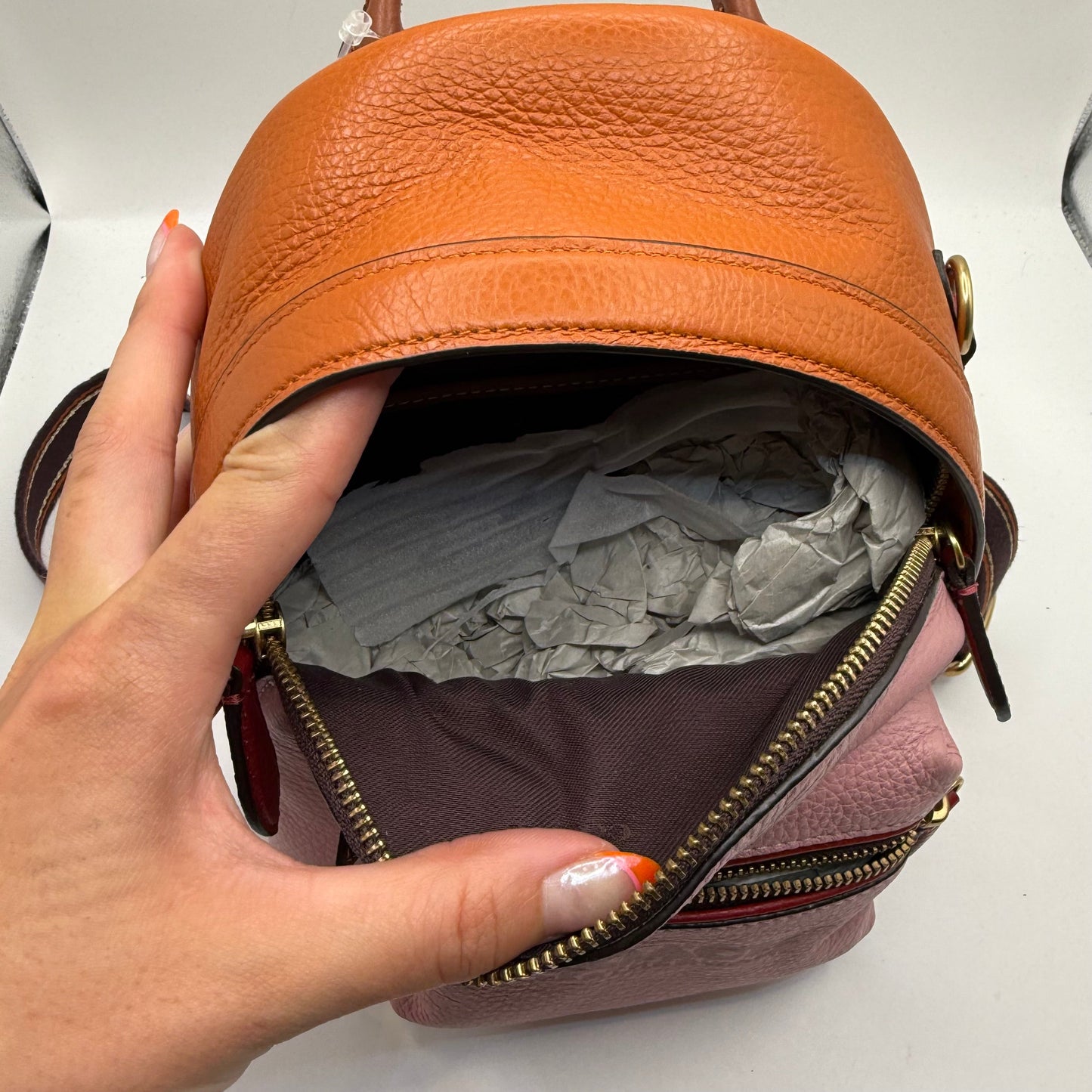 Backpack Designer By Coach, Size: Small