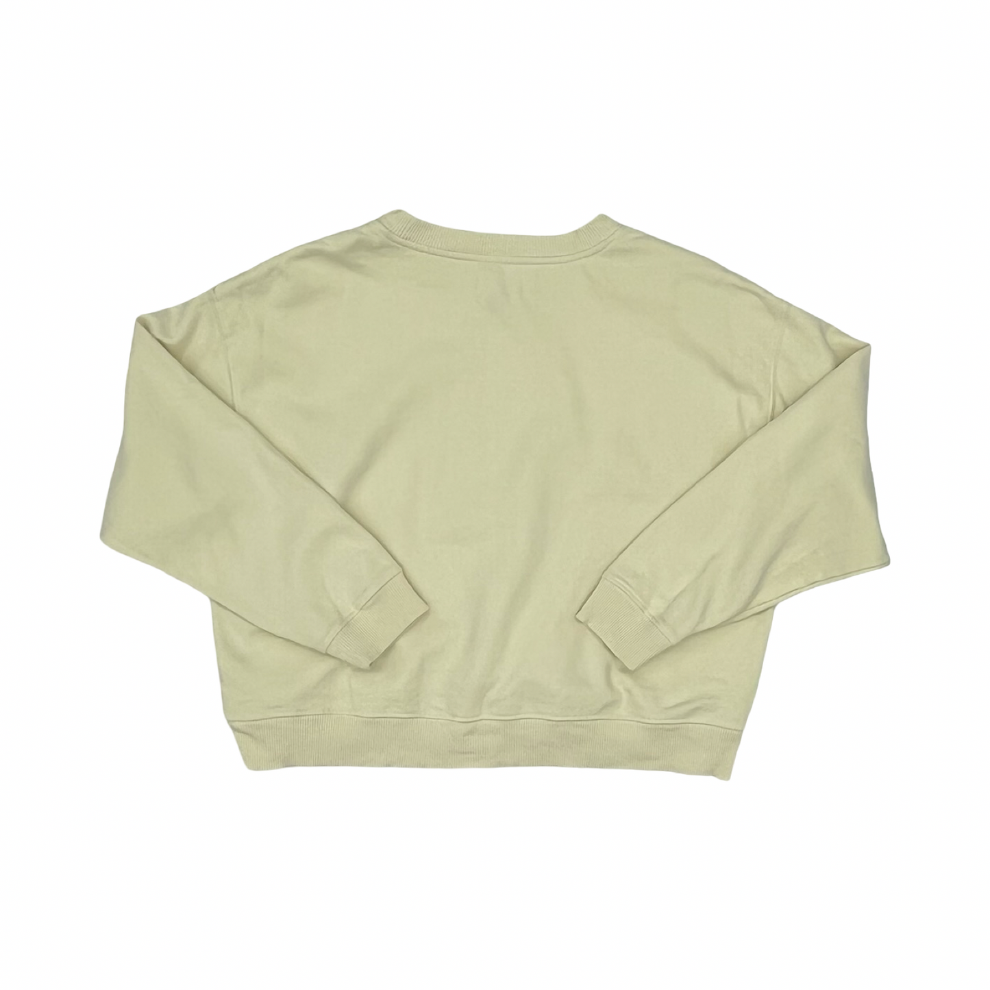 Sweatshirt Crewneck By American Eagle In Cream, Size:L
