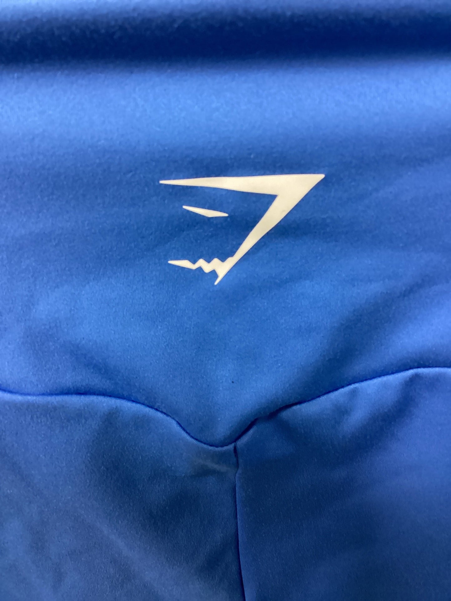 Athletic Leggings By Gym Shark In Blue, Size:S