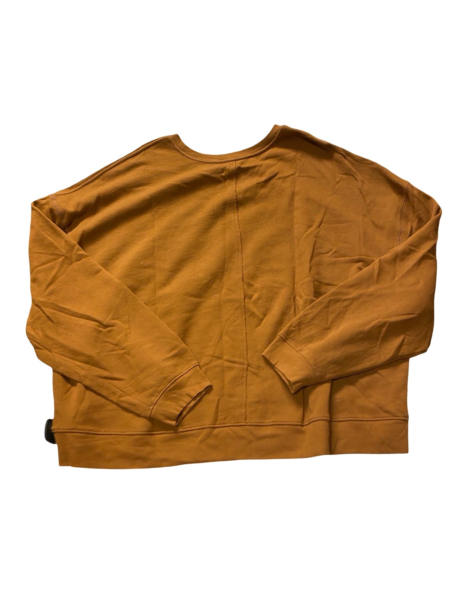 Sweatshirt Crewneck By Pilcro In Brown, Size:2X