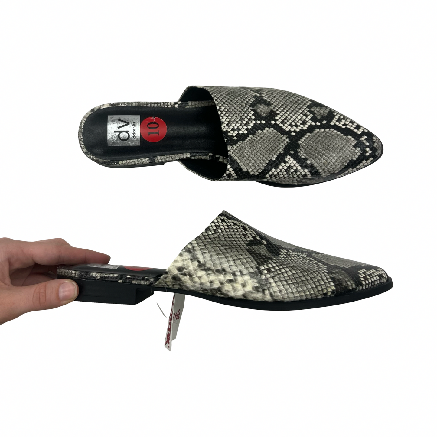 Shoes Flats By Dolce Vita In Snakeskin Print, Size:10