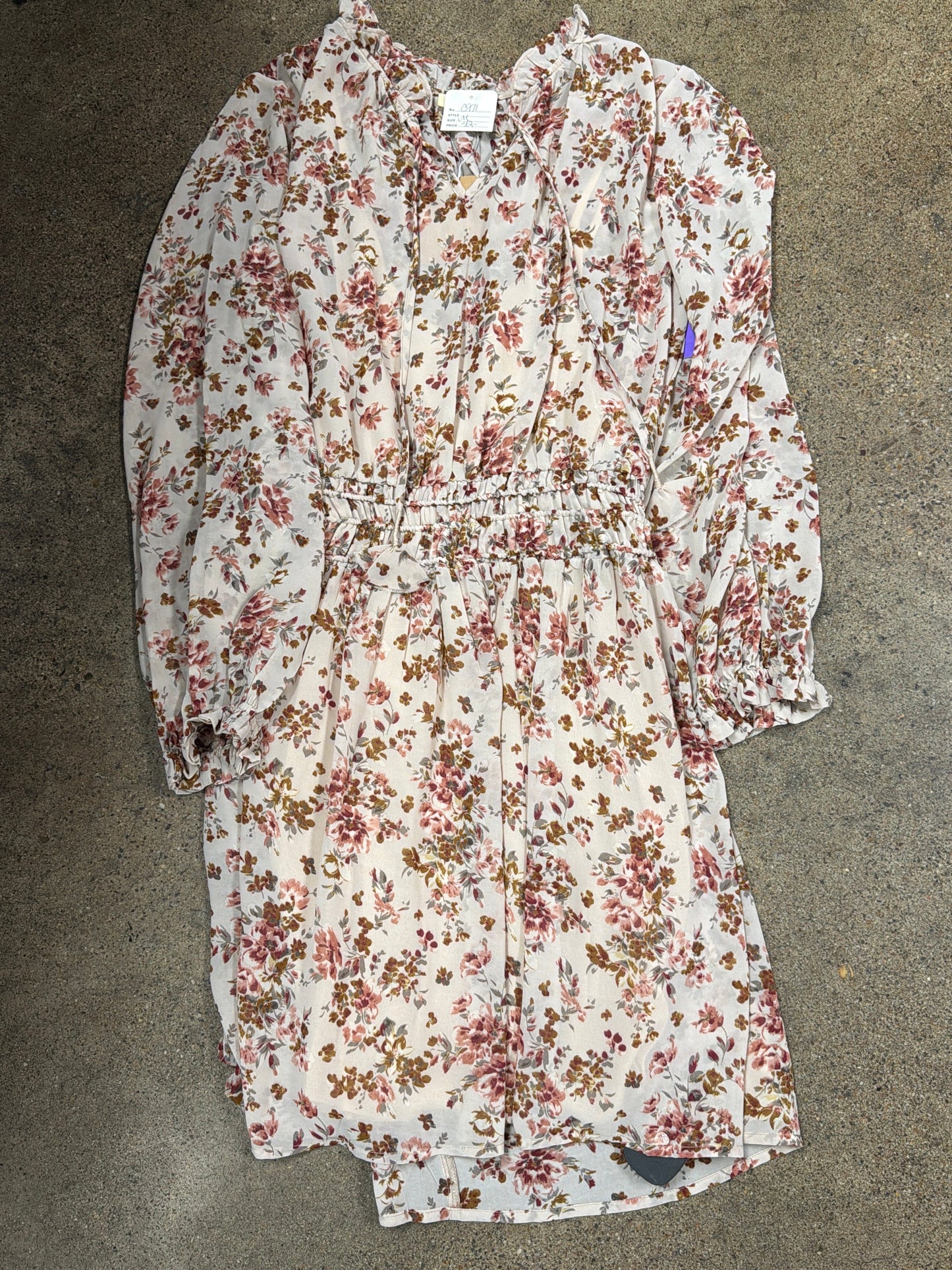 Dress Casual Short By Kori America In Brown, Size:M