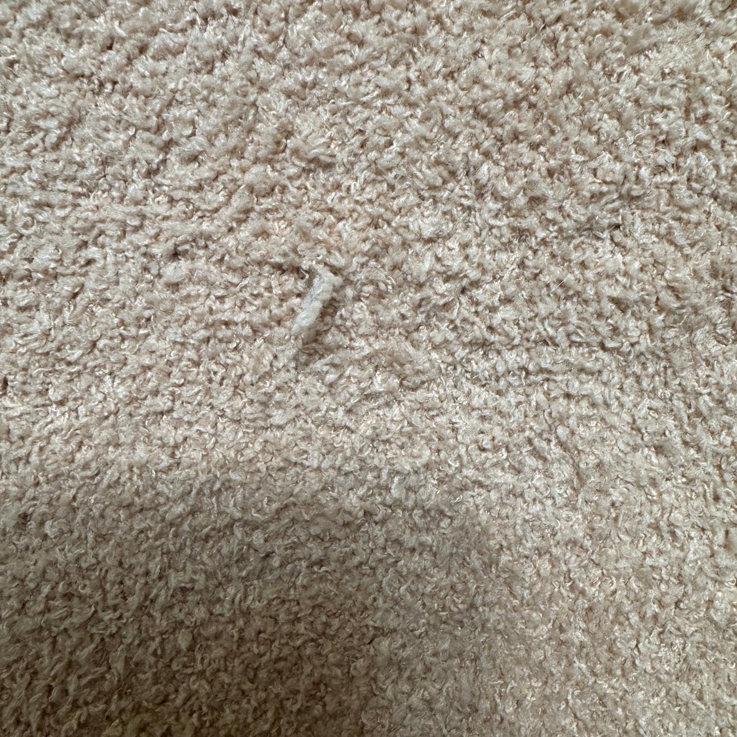 Sweatshirt Crewneck By Comfy In Camel, Size: L/XL