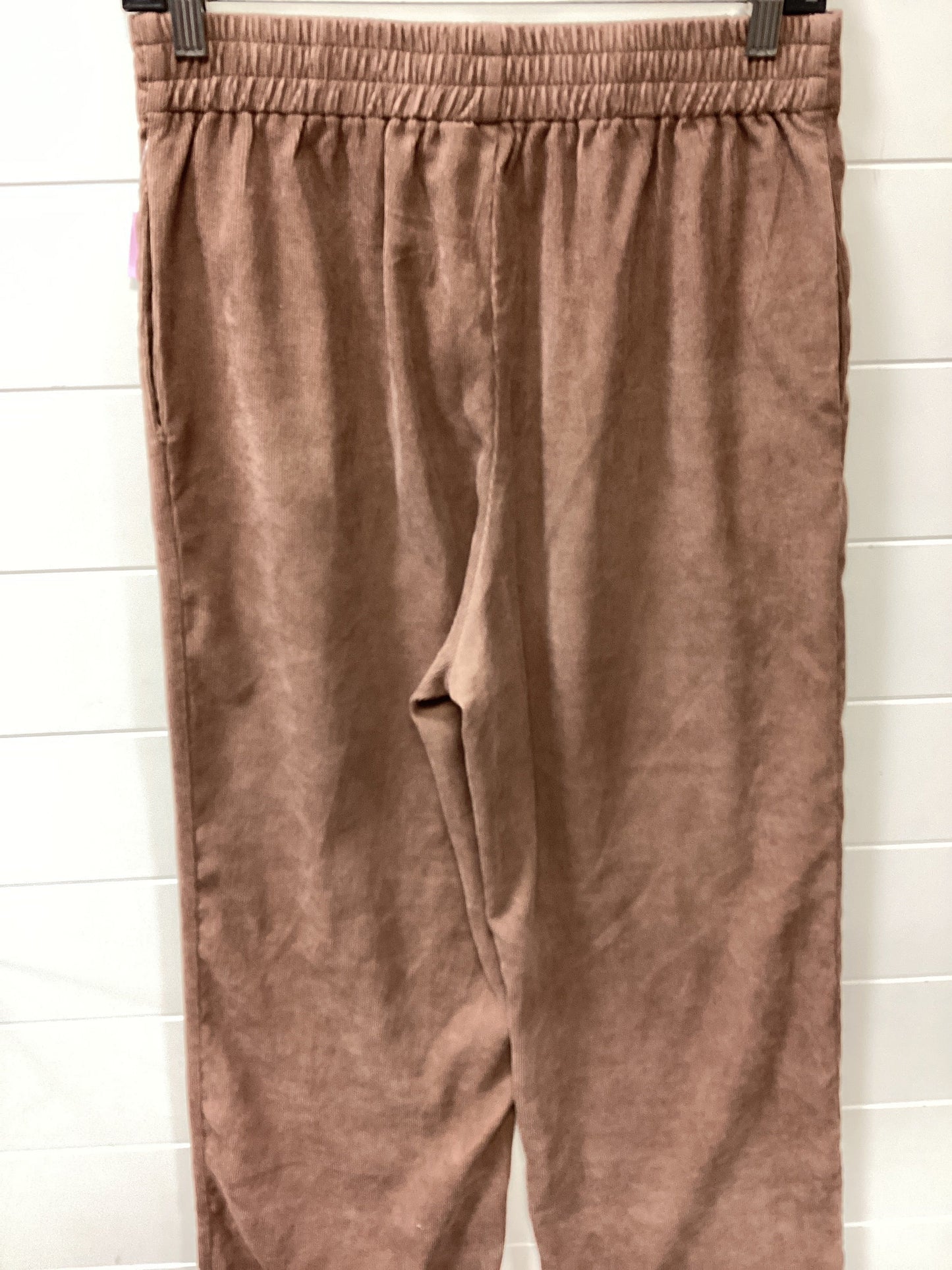Pants Corduroy By Petal & Pup In Brown, Size:8