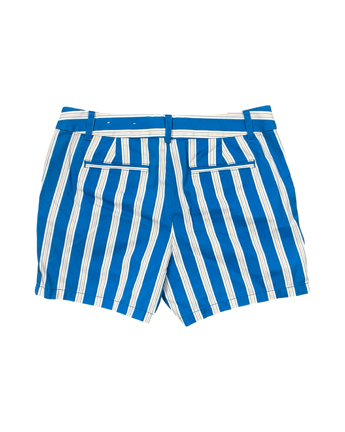 Shorts By Loft In Blue & White, Size:12