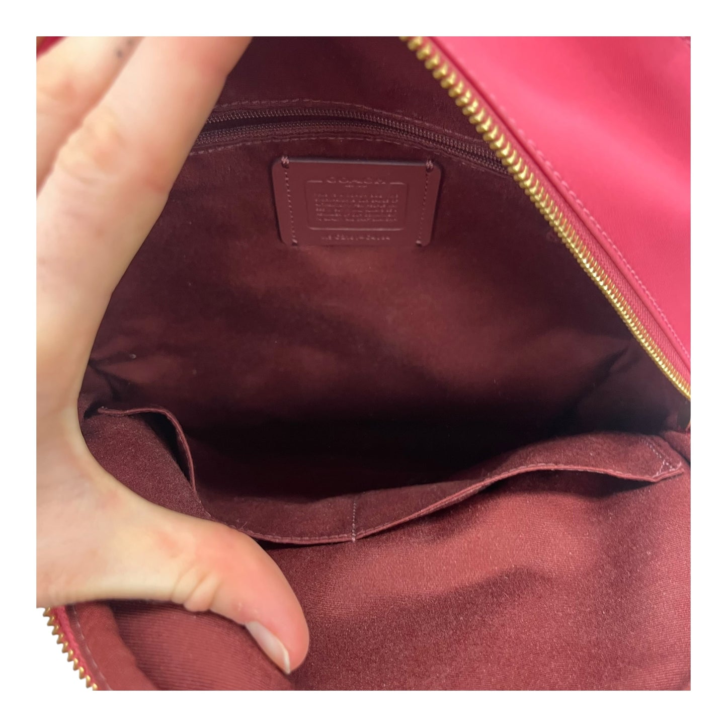 Backpack Designer By Coach In Pink, Size:Medium