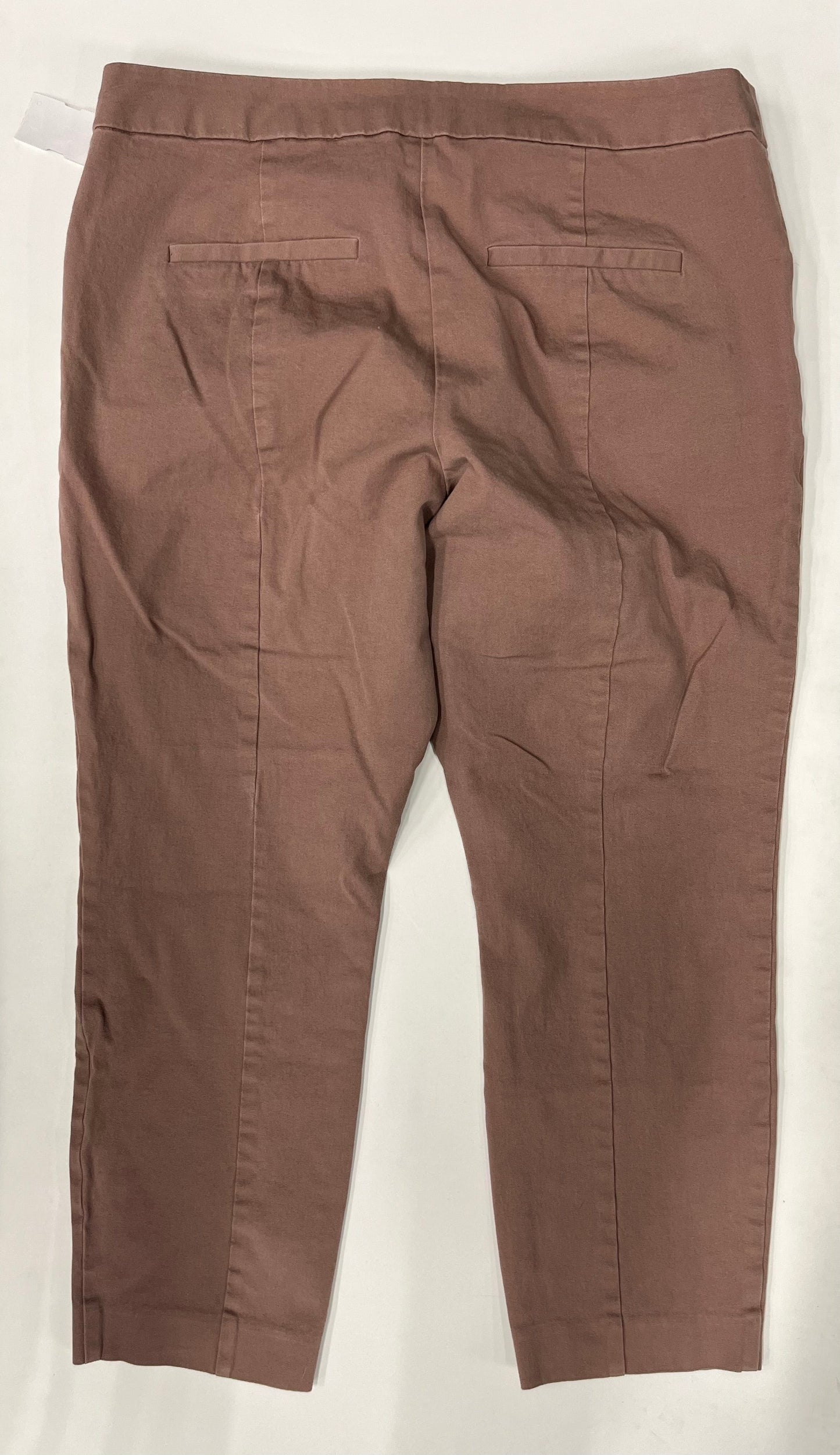 Pants Ankle By A New Day Size: 16