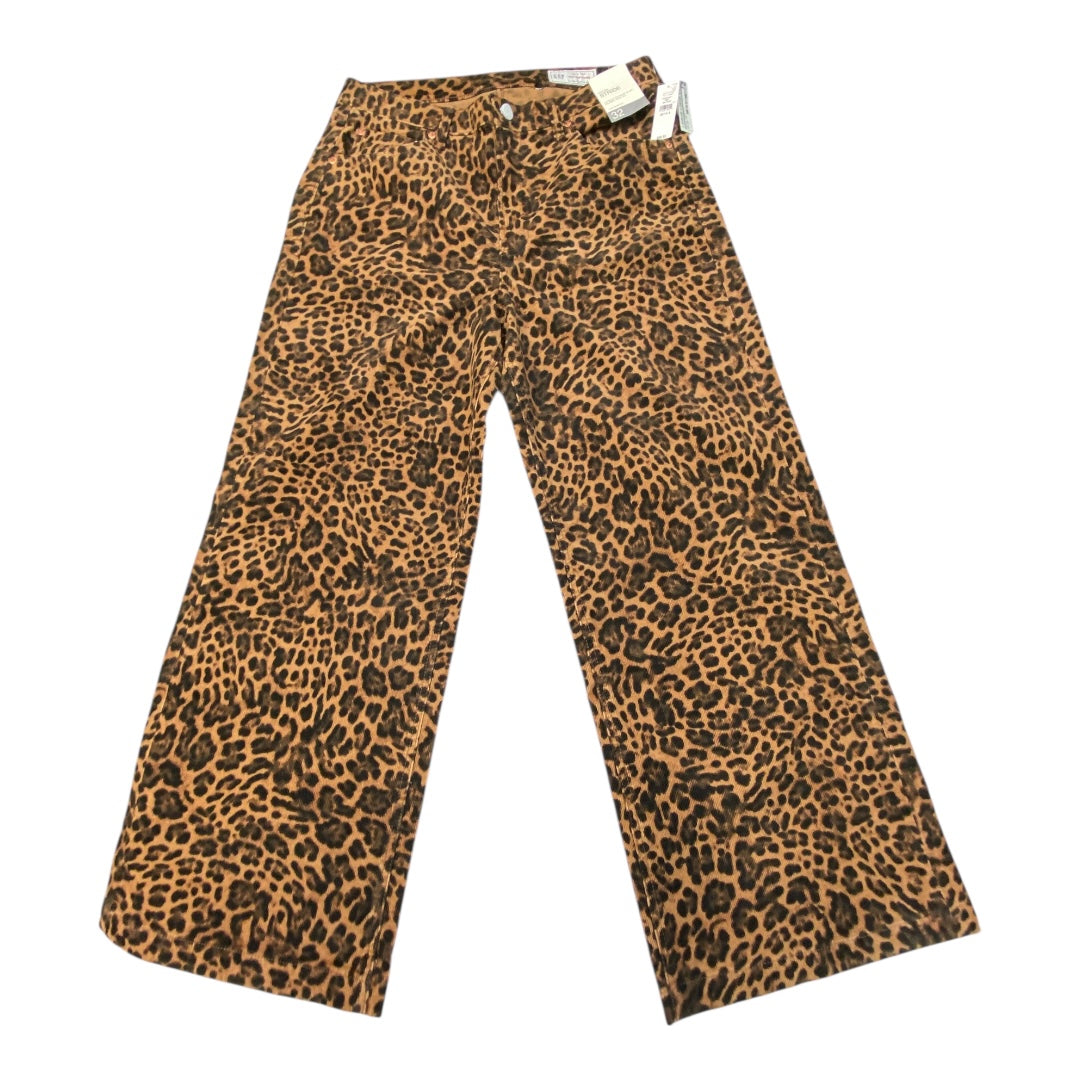 Pants Corduroy By Gap In Animal Print, Size:14