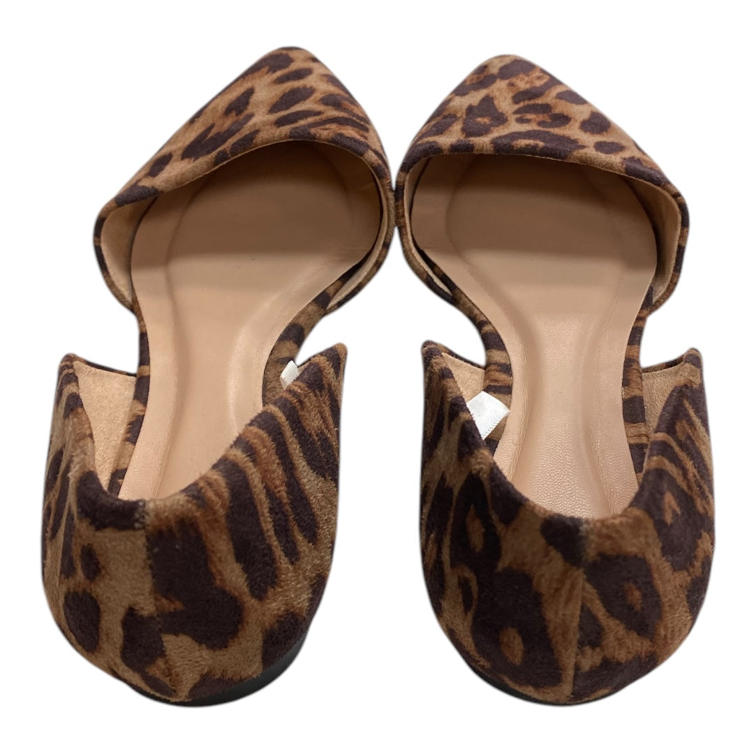 Shoes Flats By A New Day In Leopard Print, Size:6.5