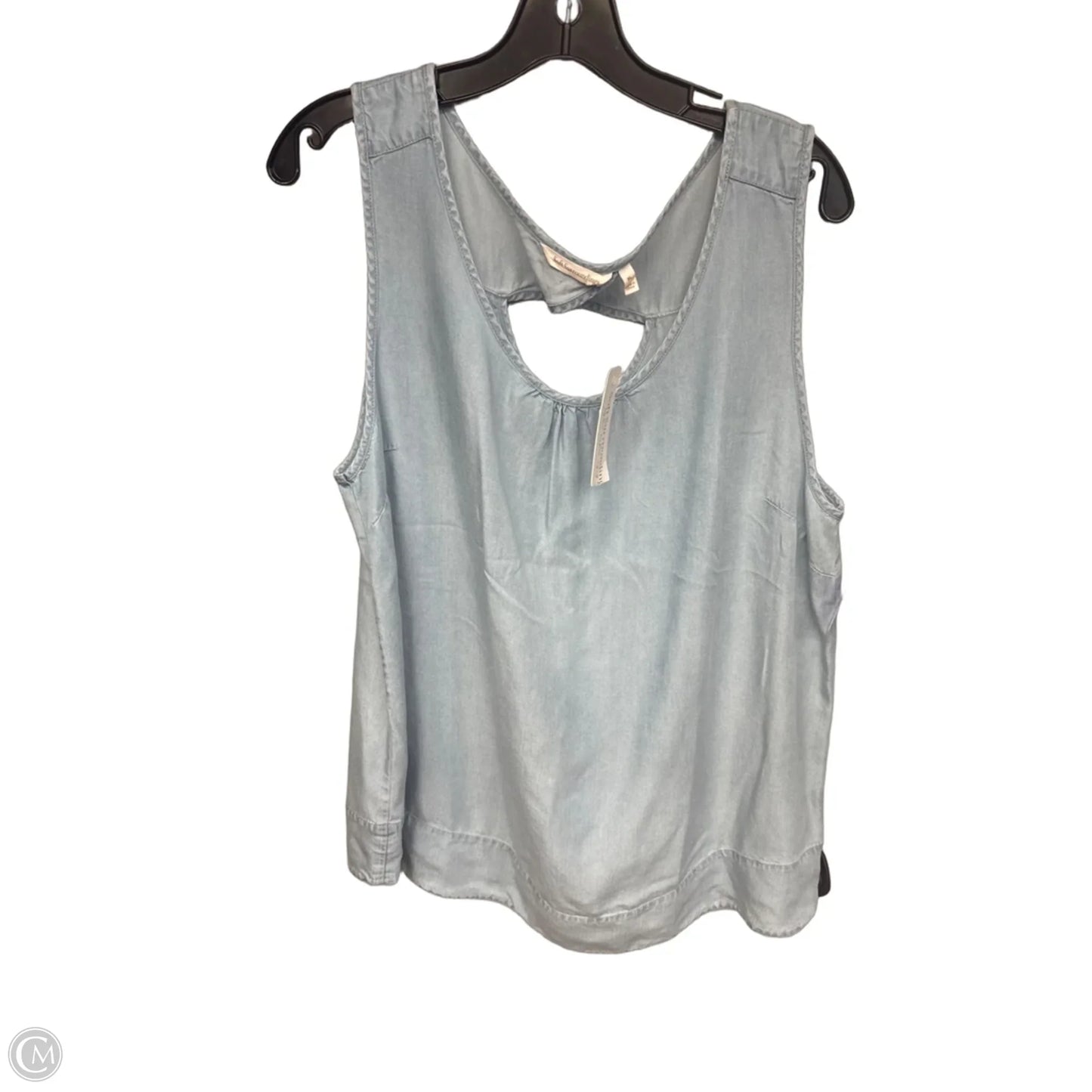 Top Sleeveless By Soft Surroundings In Blue, Size: Xl