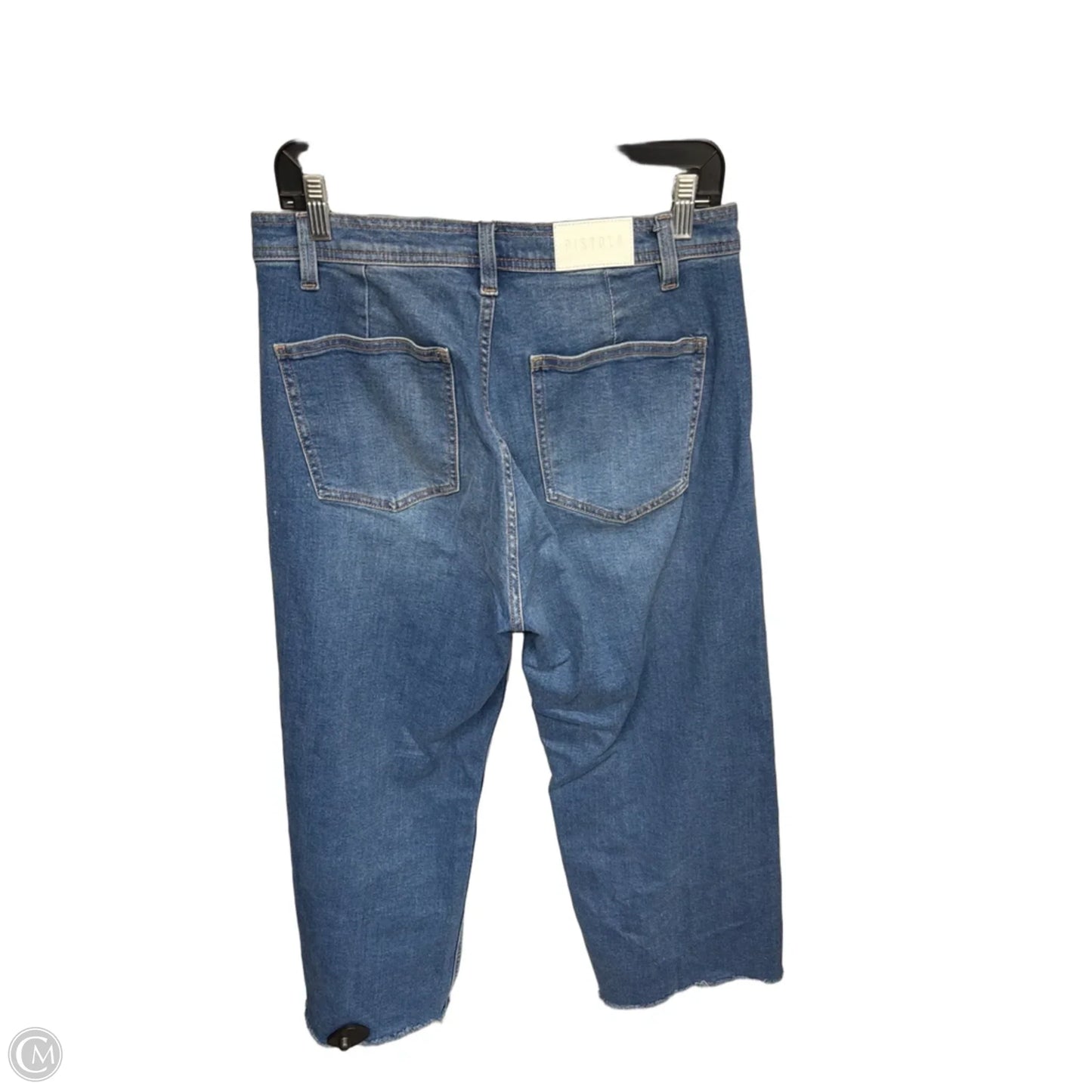 Jeans Wide Leg By Pistola In Blue Denim, Size: 30