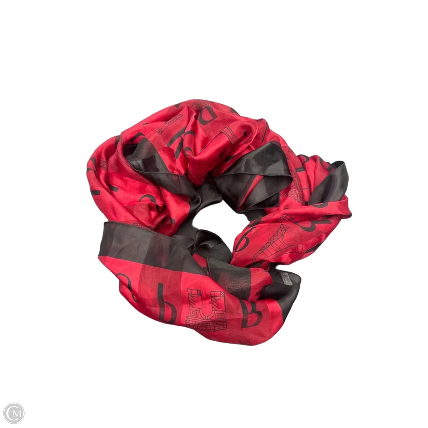 Scarf Long By Clothes Mentor