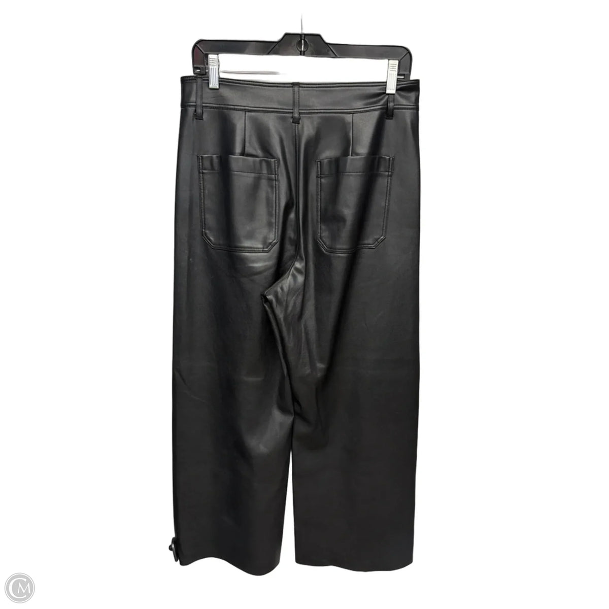 Pants Other By Zara In Black, Size: S