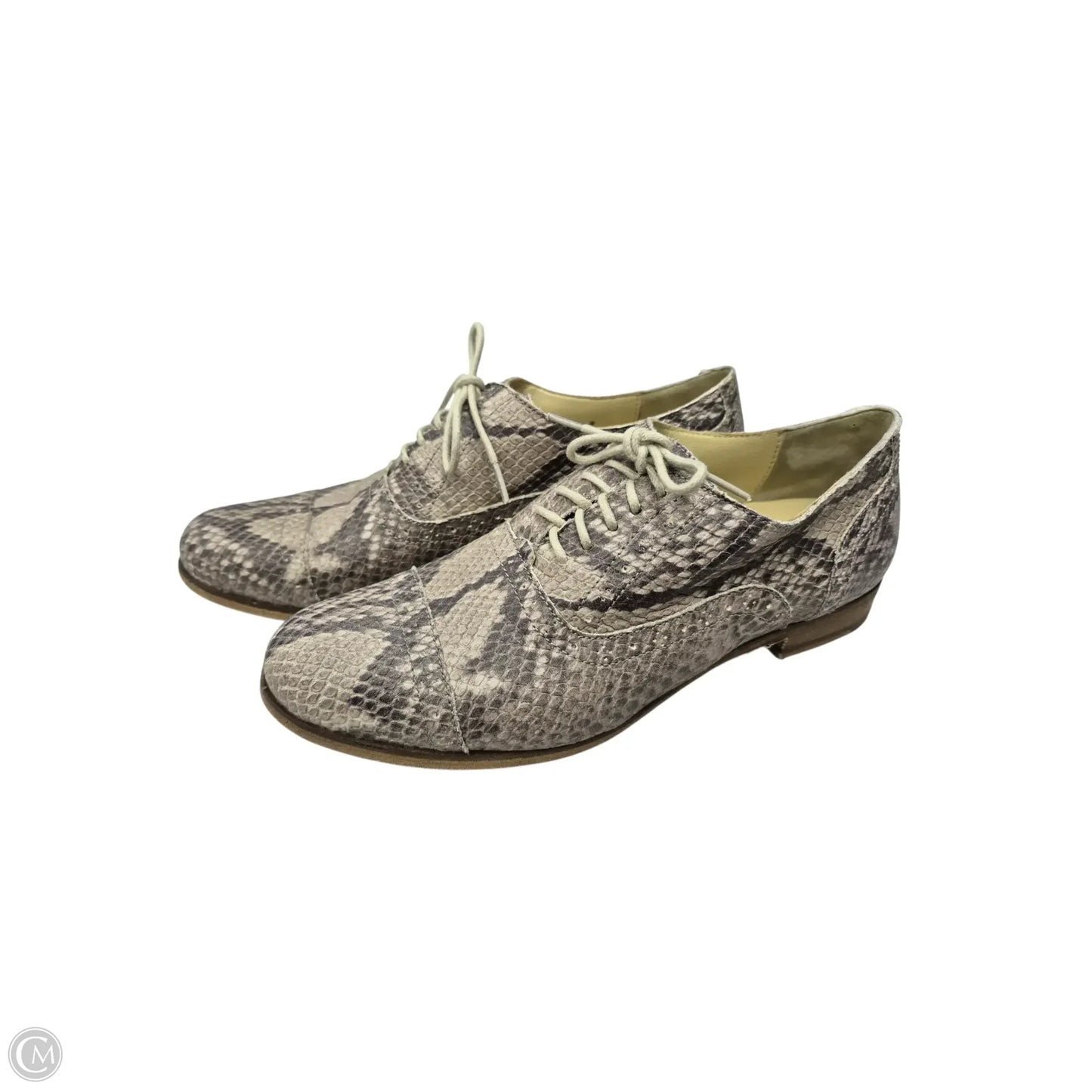 Shoes Flats By Cole-haan In Snakeskin Print, Size: 6