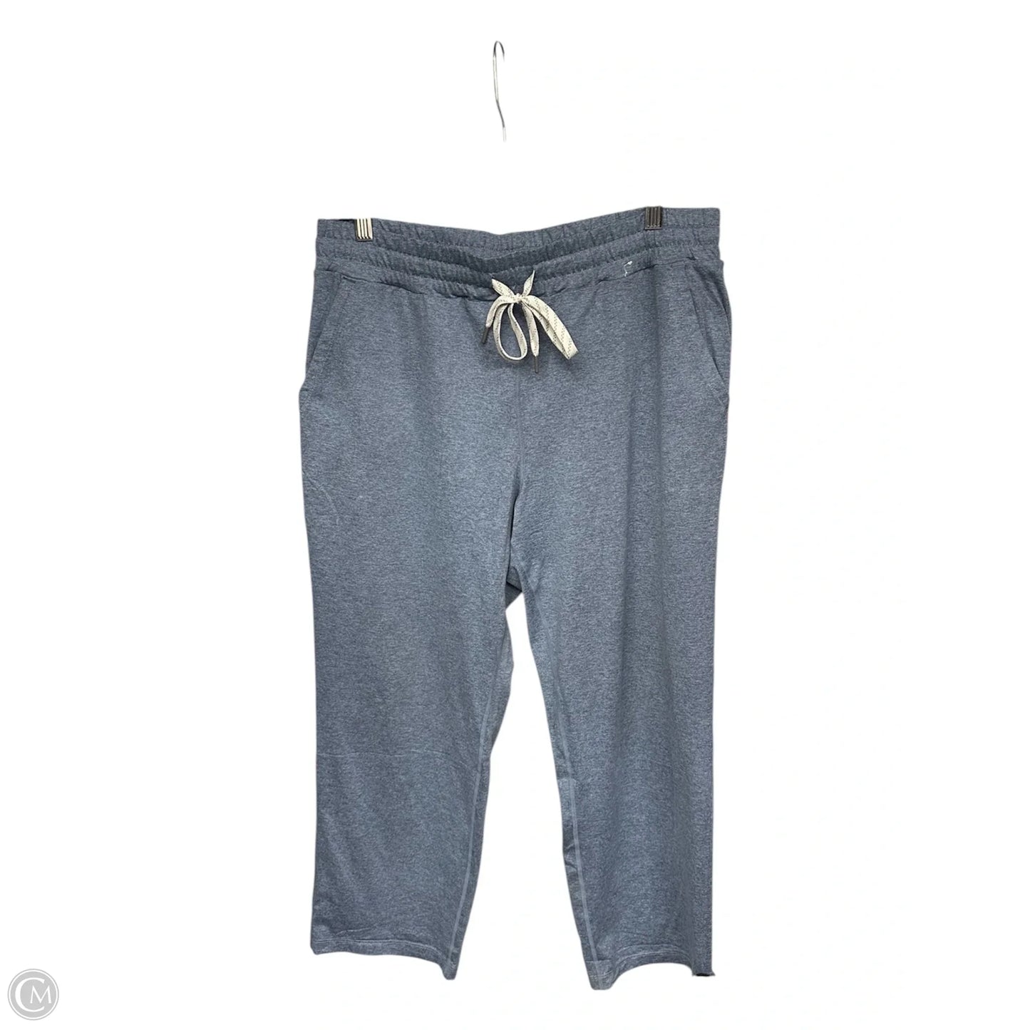 Athletic Pants By Kirkland In Blue, Size: L
