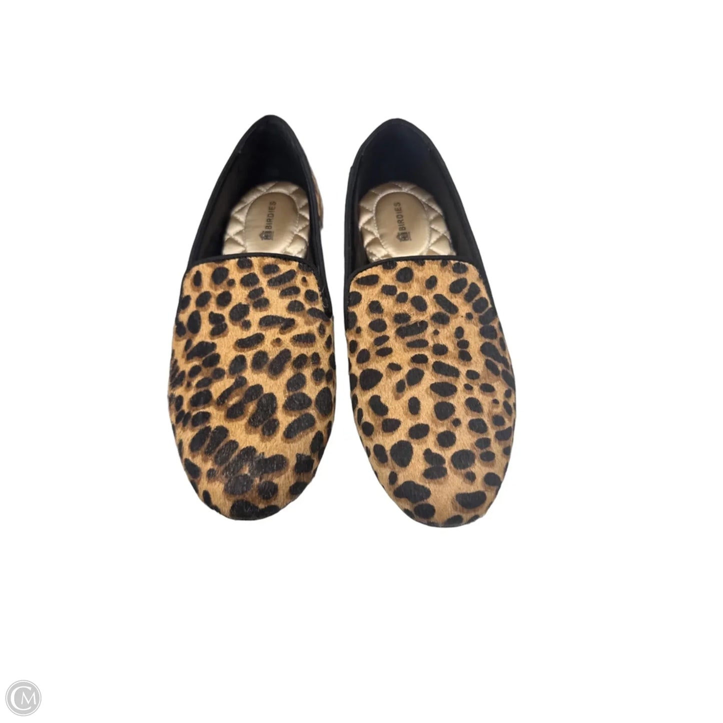 Shoes Flats By Birdies In Animal Print, Size: 6