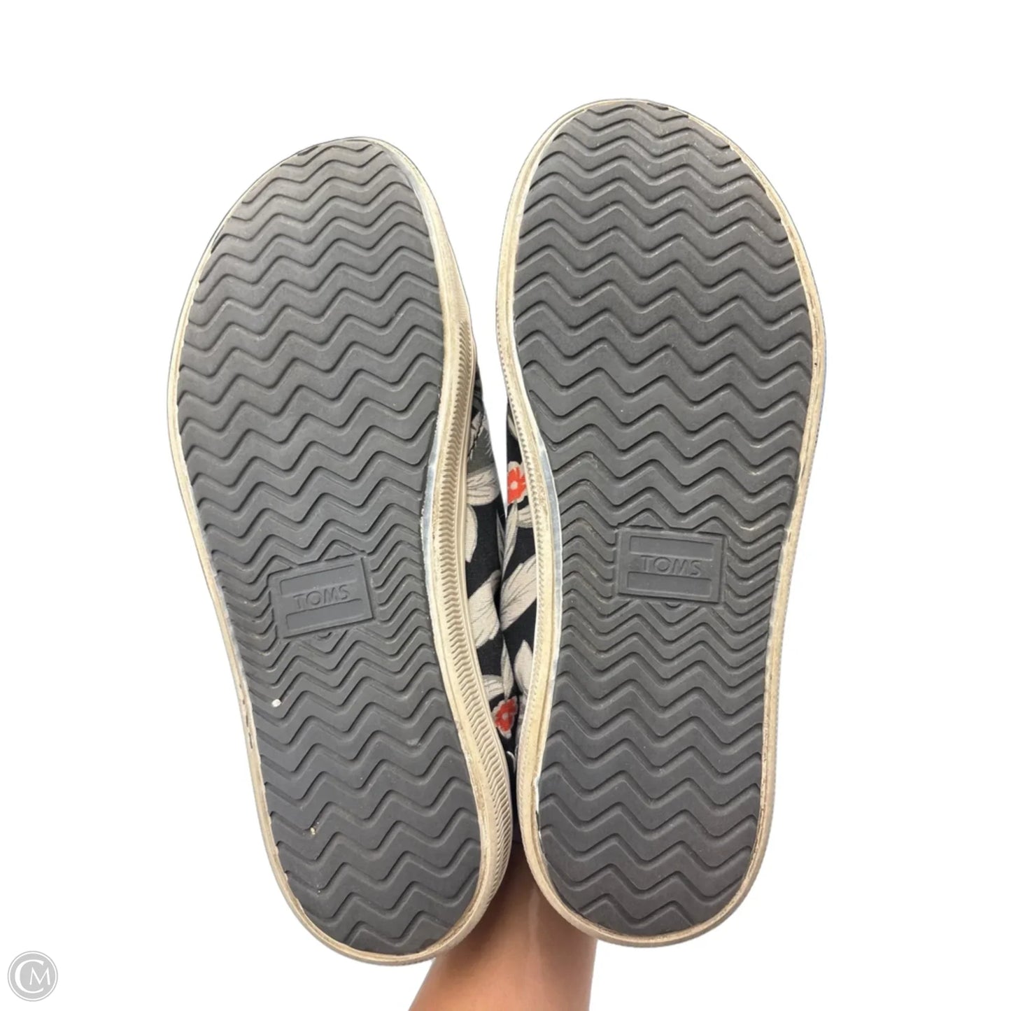 Shoes Sneakers By Toms In Tropical Print, Size: 9.5