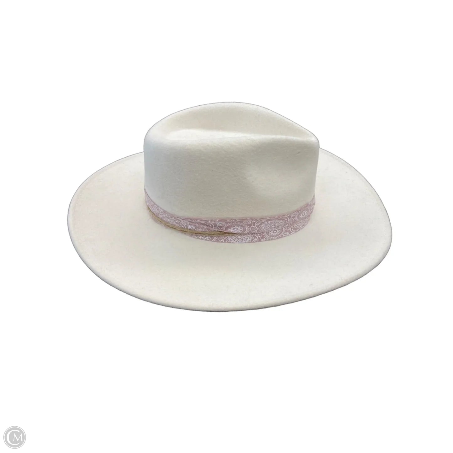 Hat Fedora By Anthropologie