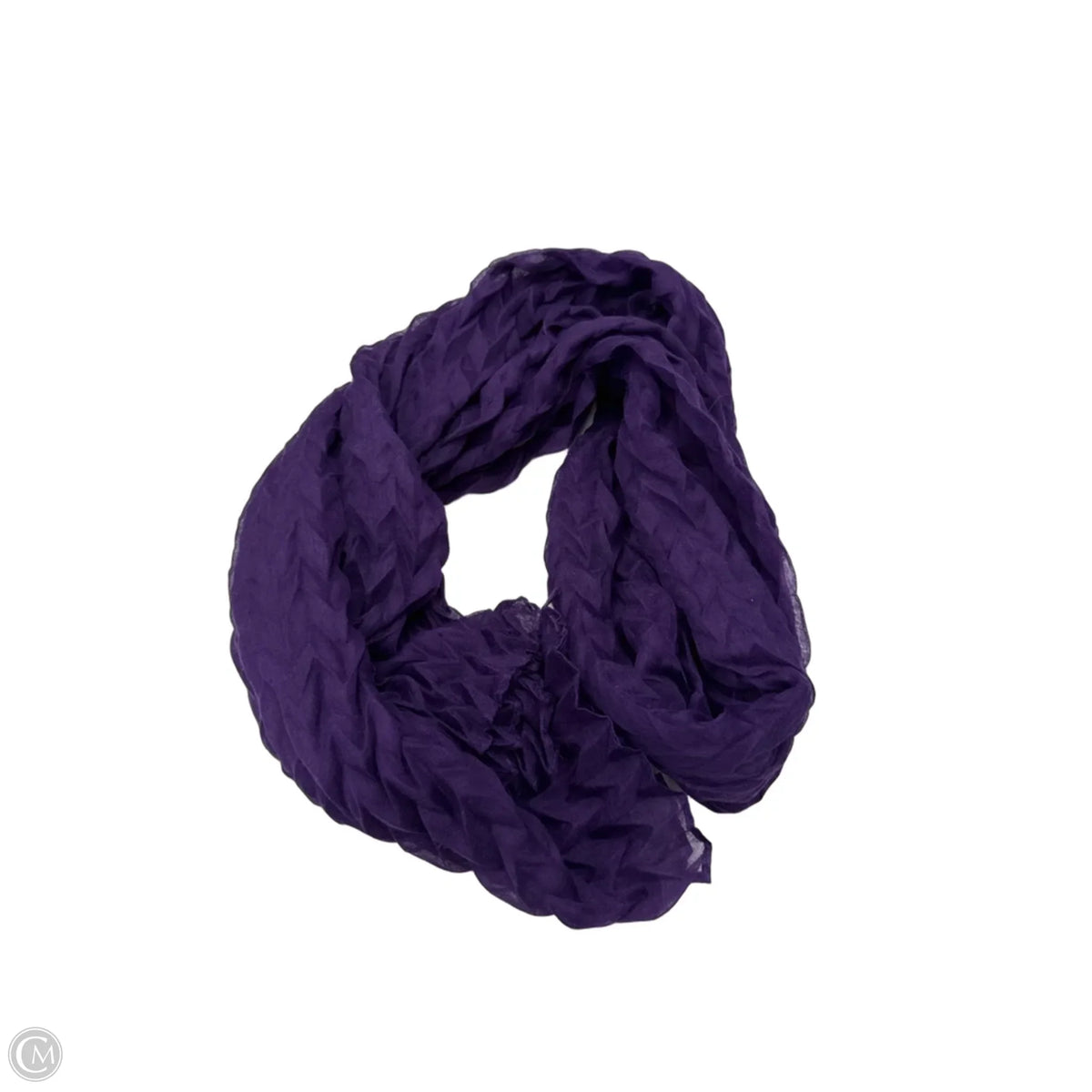 Scarf Long By Clothes Mentor