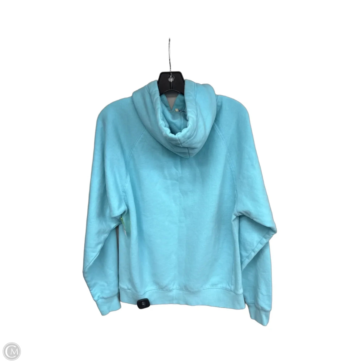 Sweatshirt Hoodie By Blue 84 In Aqua, Size: M