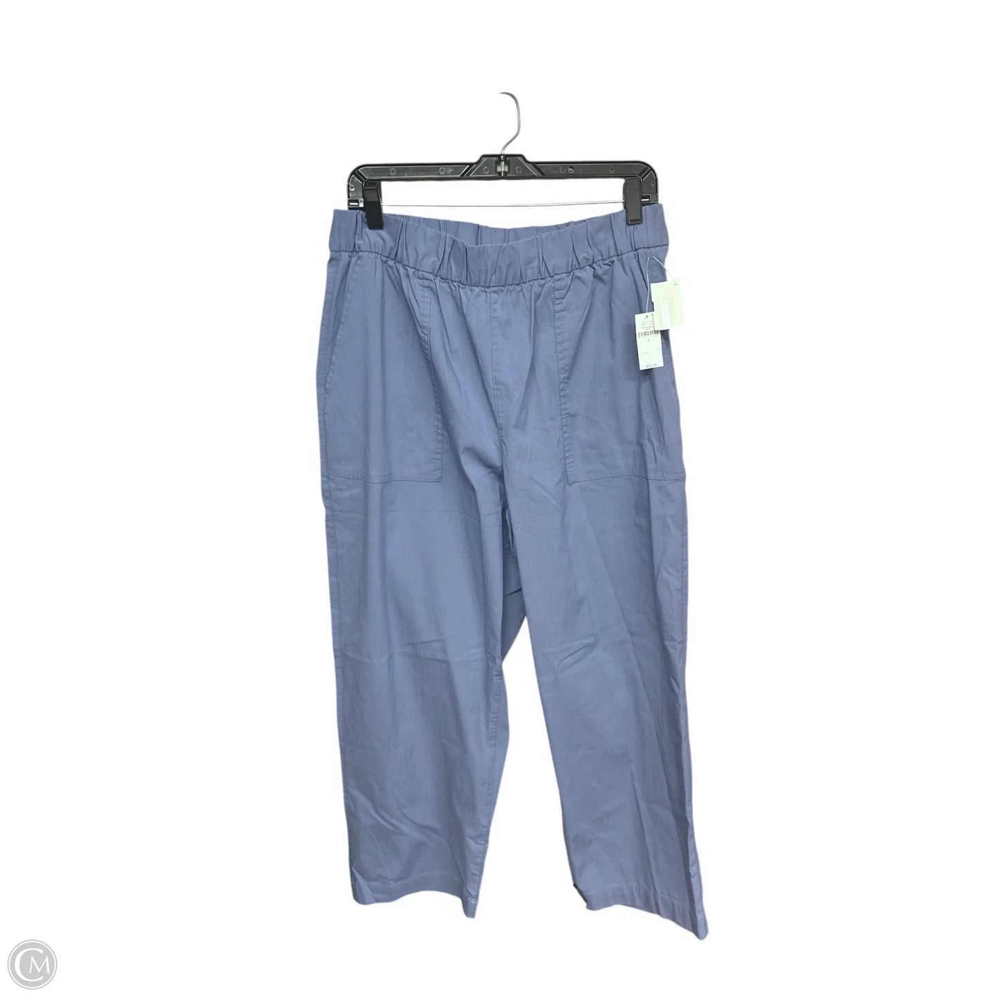 Pants Chinos & Khakis By Gap In Blue, Size: L