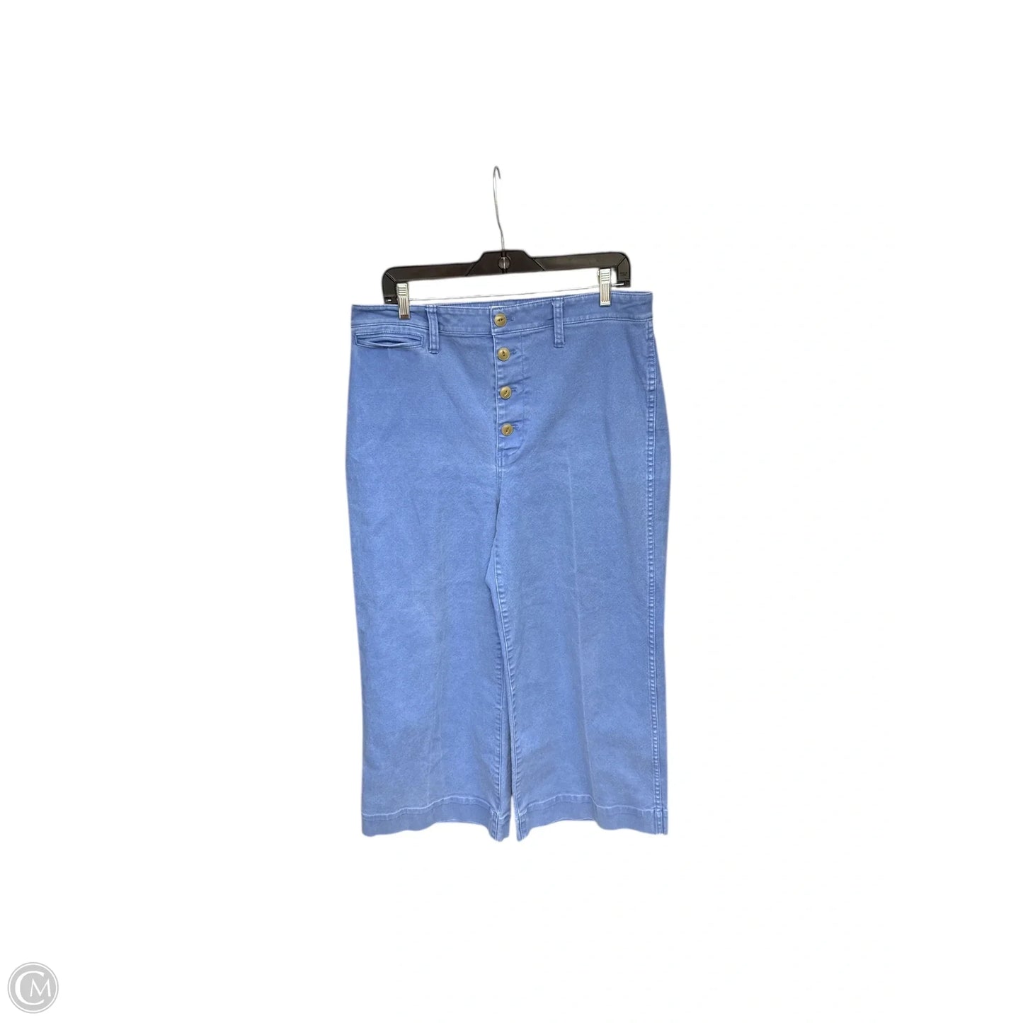 Pants Wide Leg By Madewell In Blue, Size: 14